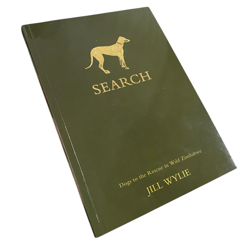 Search