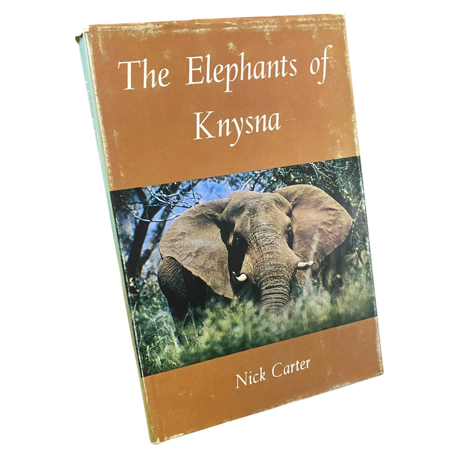The Elephants of Knysna