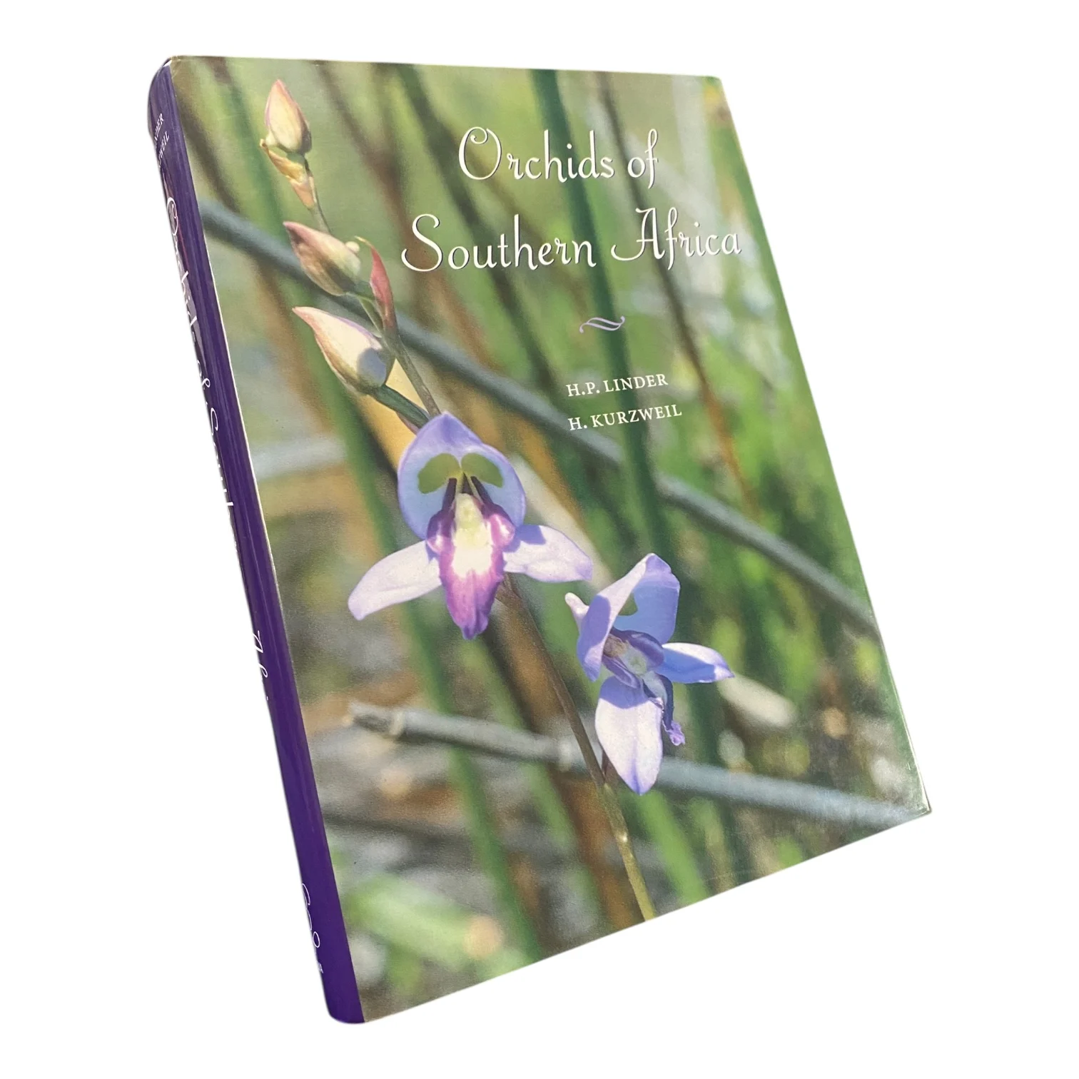 Orchids Of Southern Africa