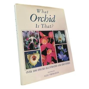 What Orchid is That?