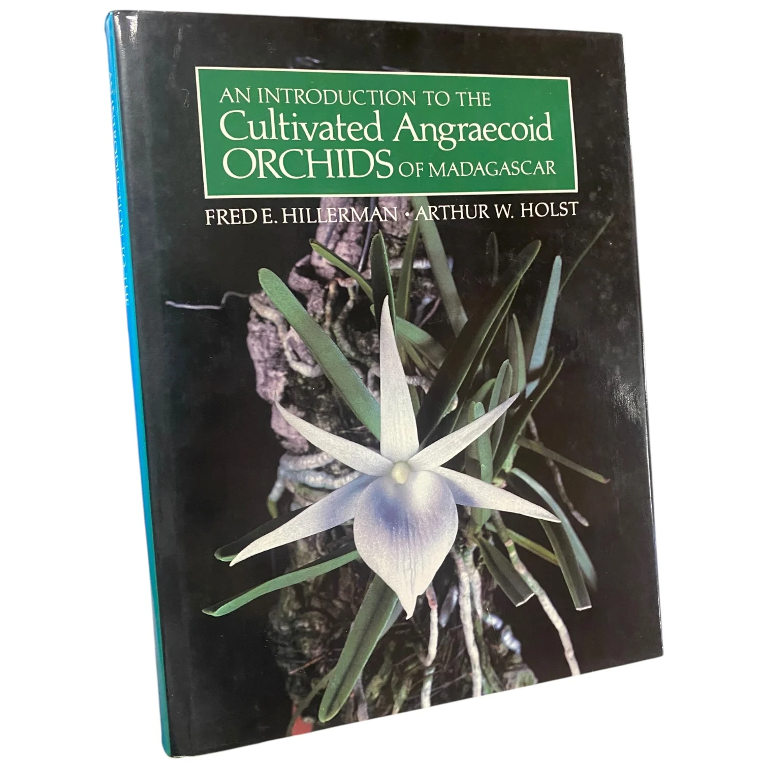 Cultivated Angraecoid Orchids of Madagascar