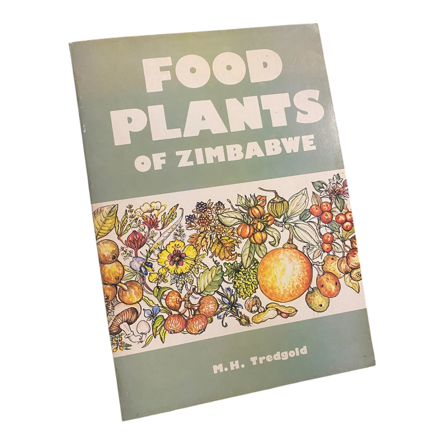 Food Plants of Zimbabwe