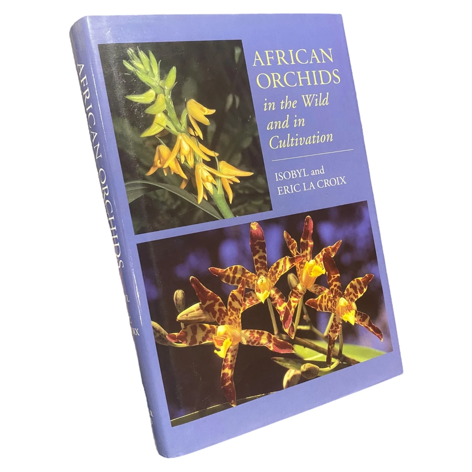 African Orchids in the Wild and in Cultivation