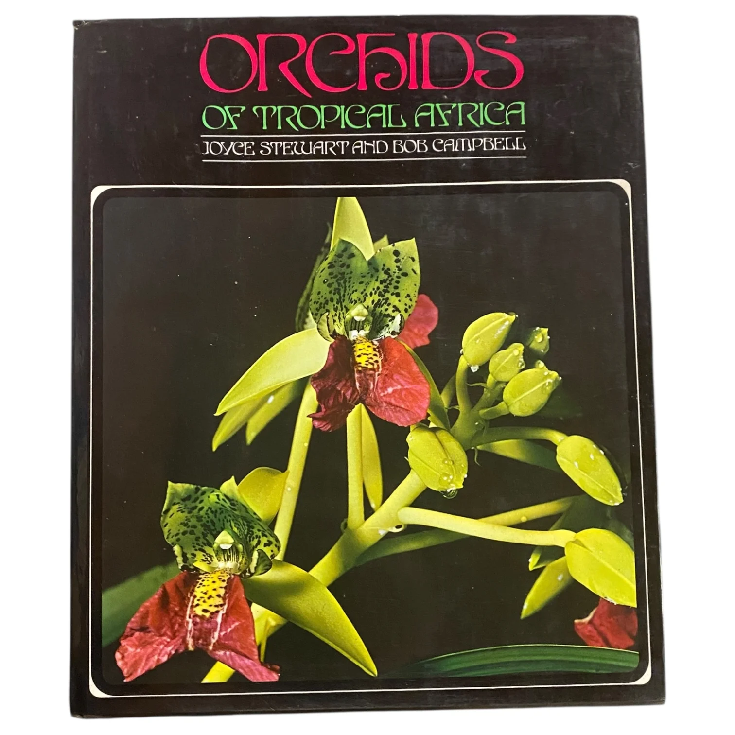 Orchids of Tropical Africa - Image 2