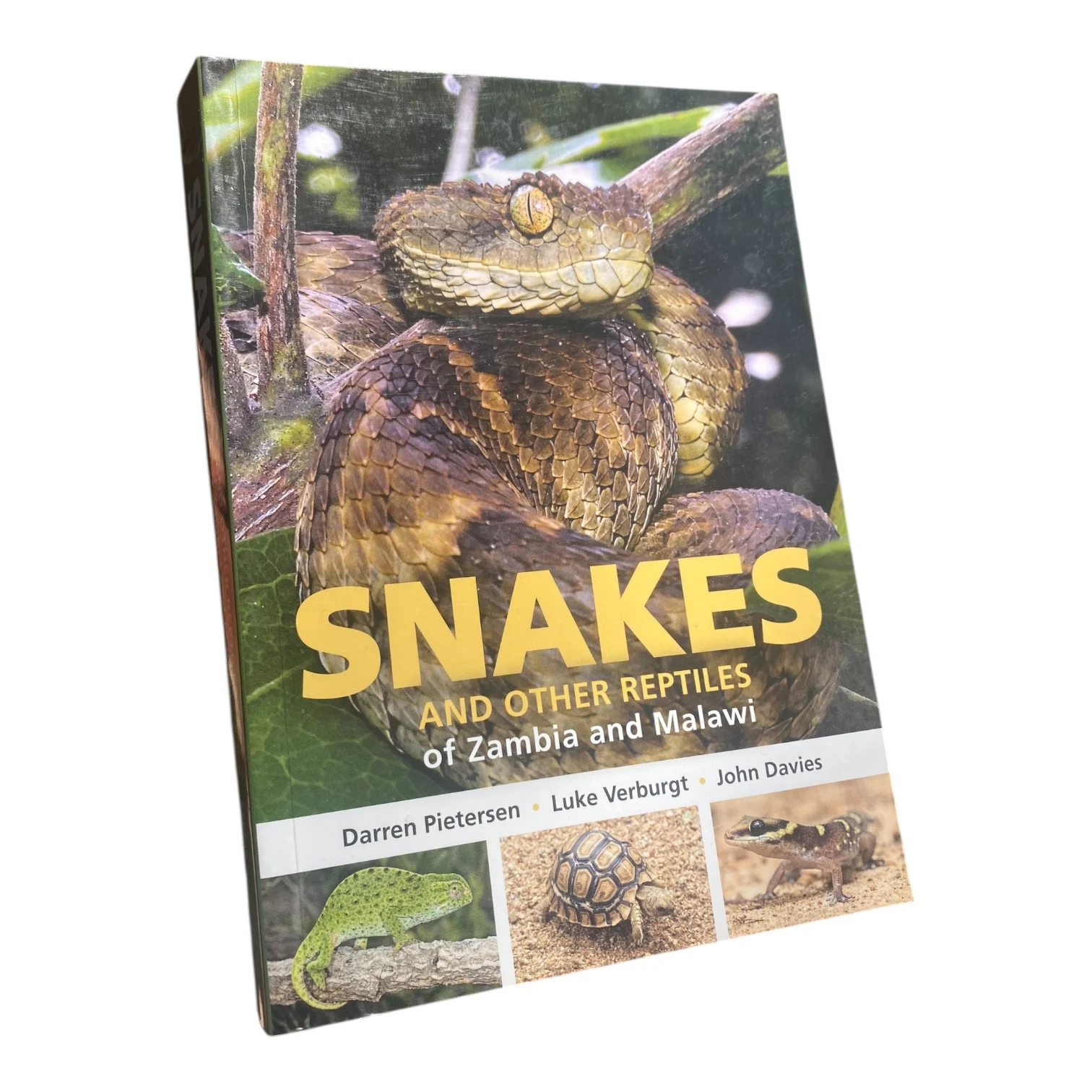 Snakes and Other Reptiles of Zambia and Malawi