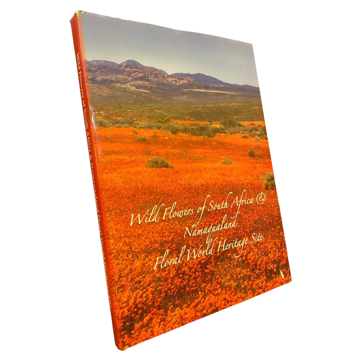Wild Flowers of South Africa & Namaqualand - Floral World Heritage Site by Sandra Hansen