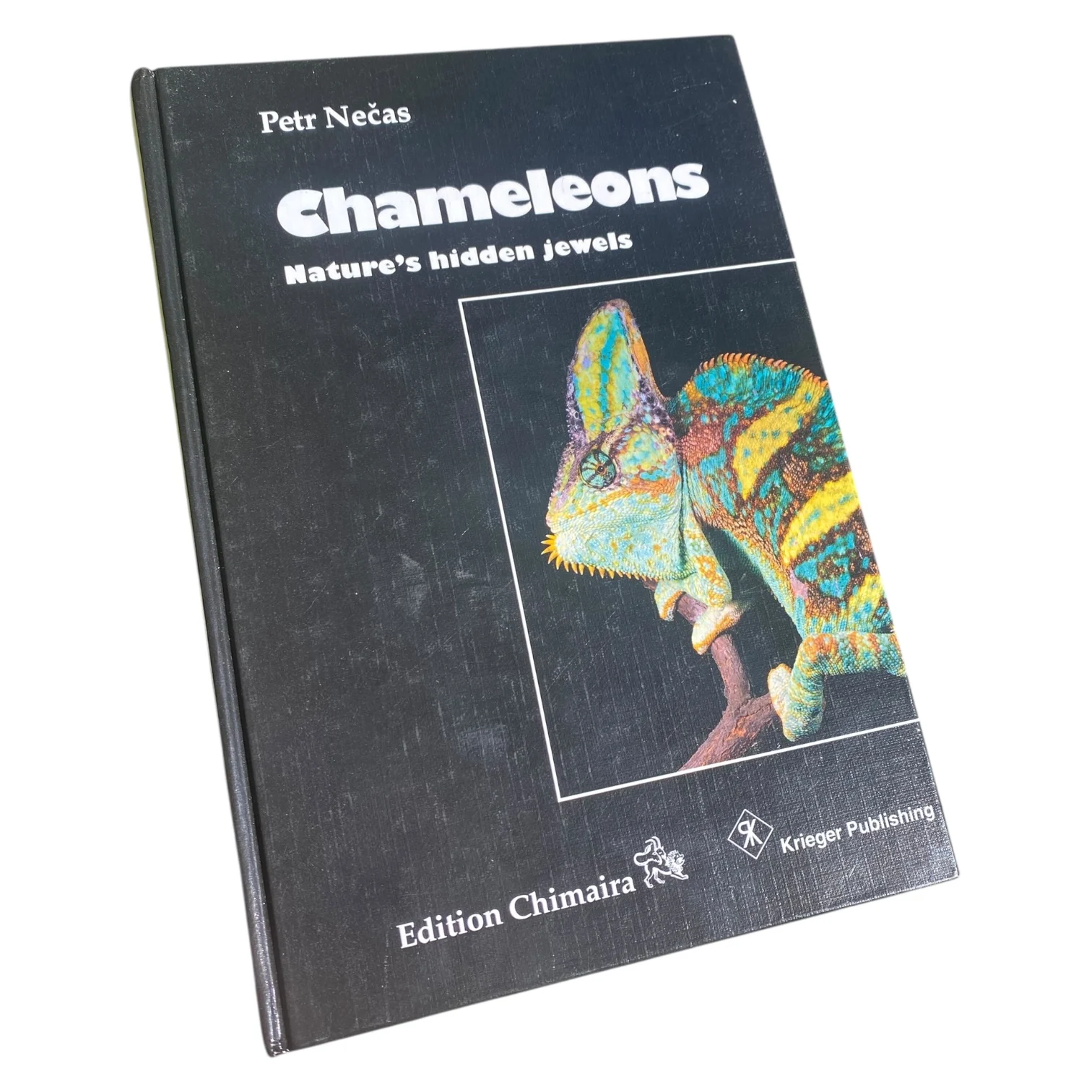 Chameleons Nature's Hidden Jewels
