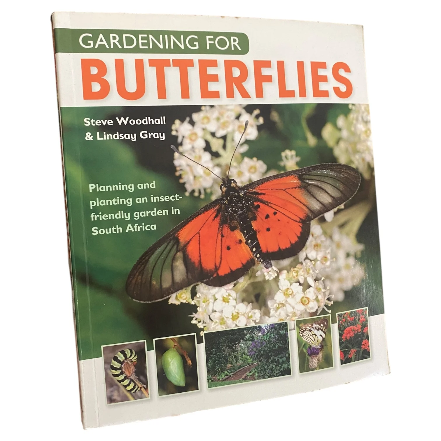 Gardening for Butterflies