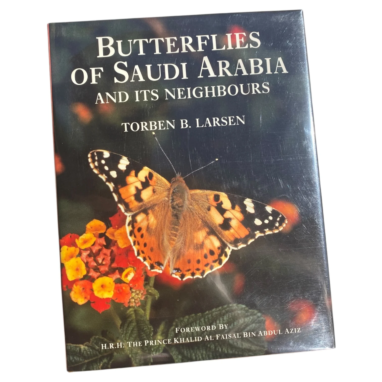 Butterflies of Saudi Arabia