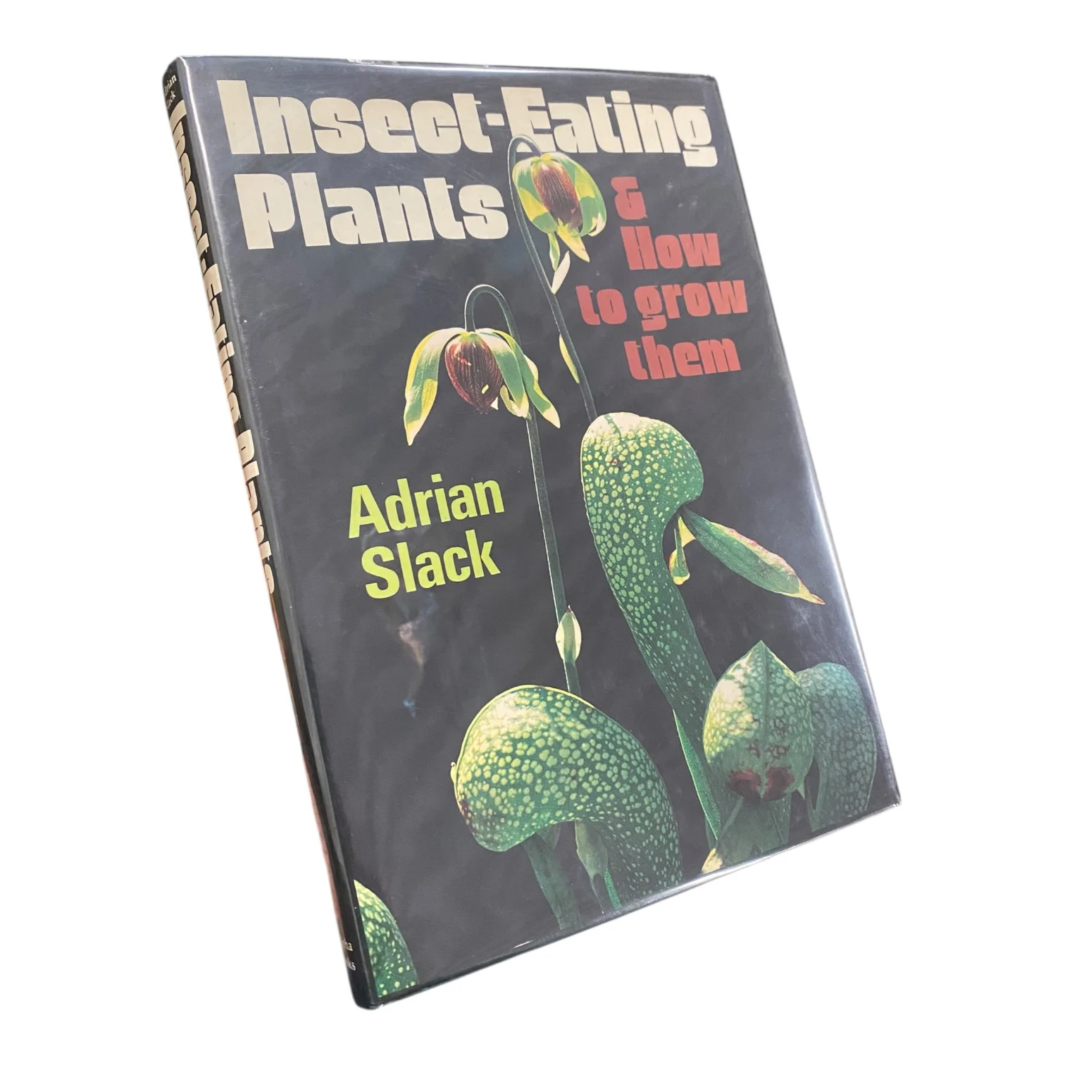 Insect-Eating Plants and How to Grow Them