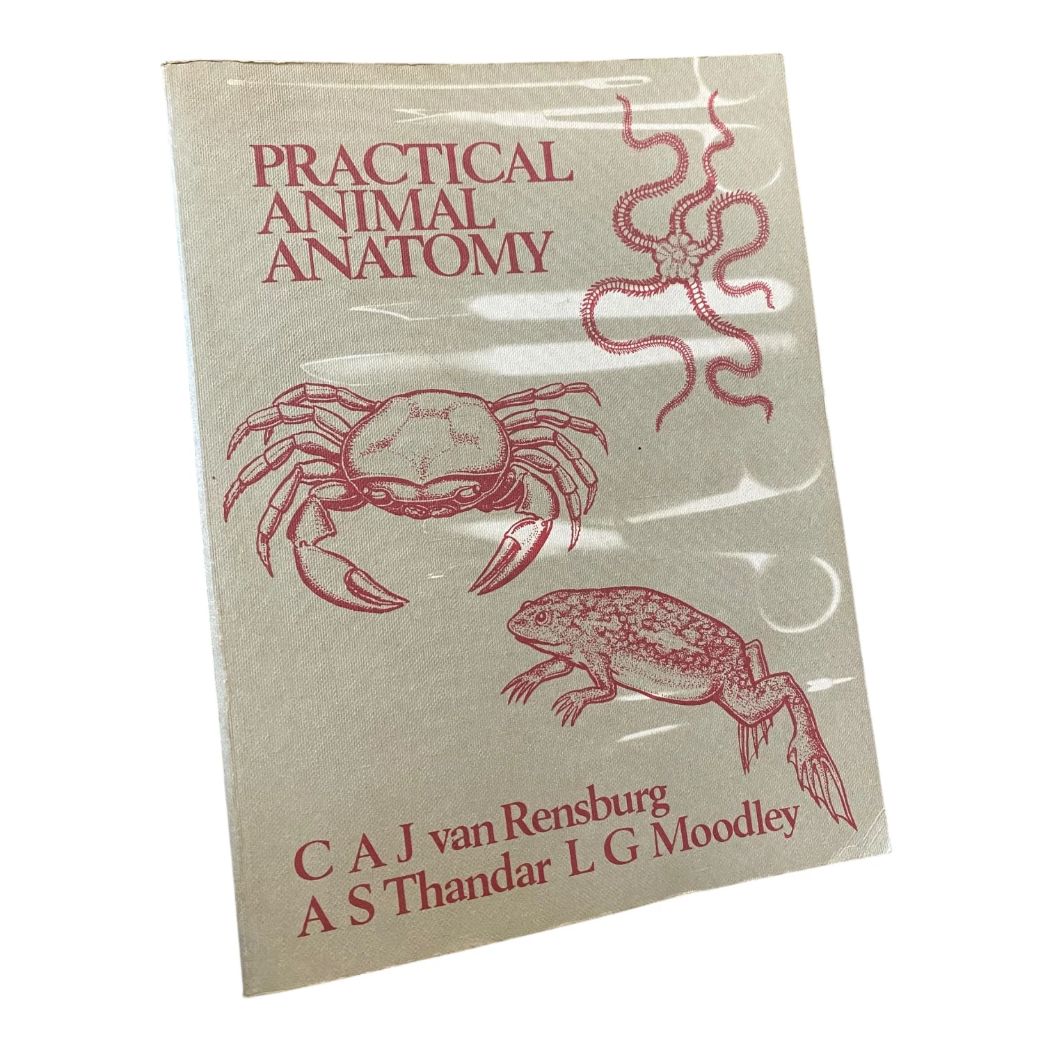 Practical Animal Anatomy