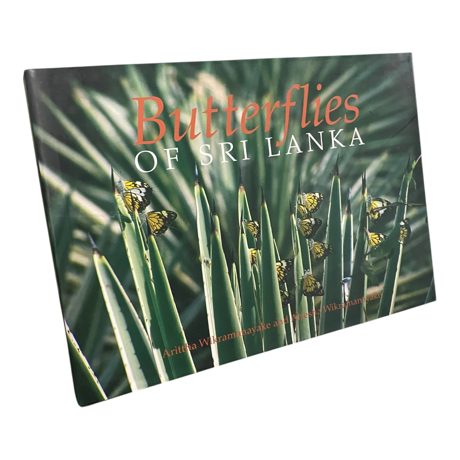 Butterflies of Sri Lanka