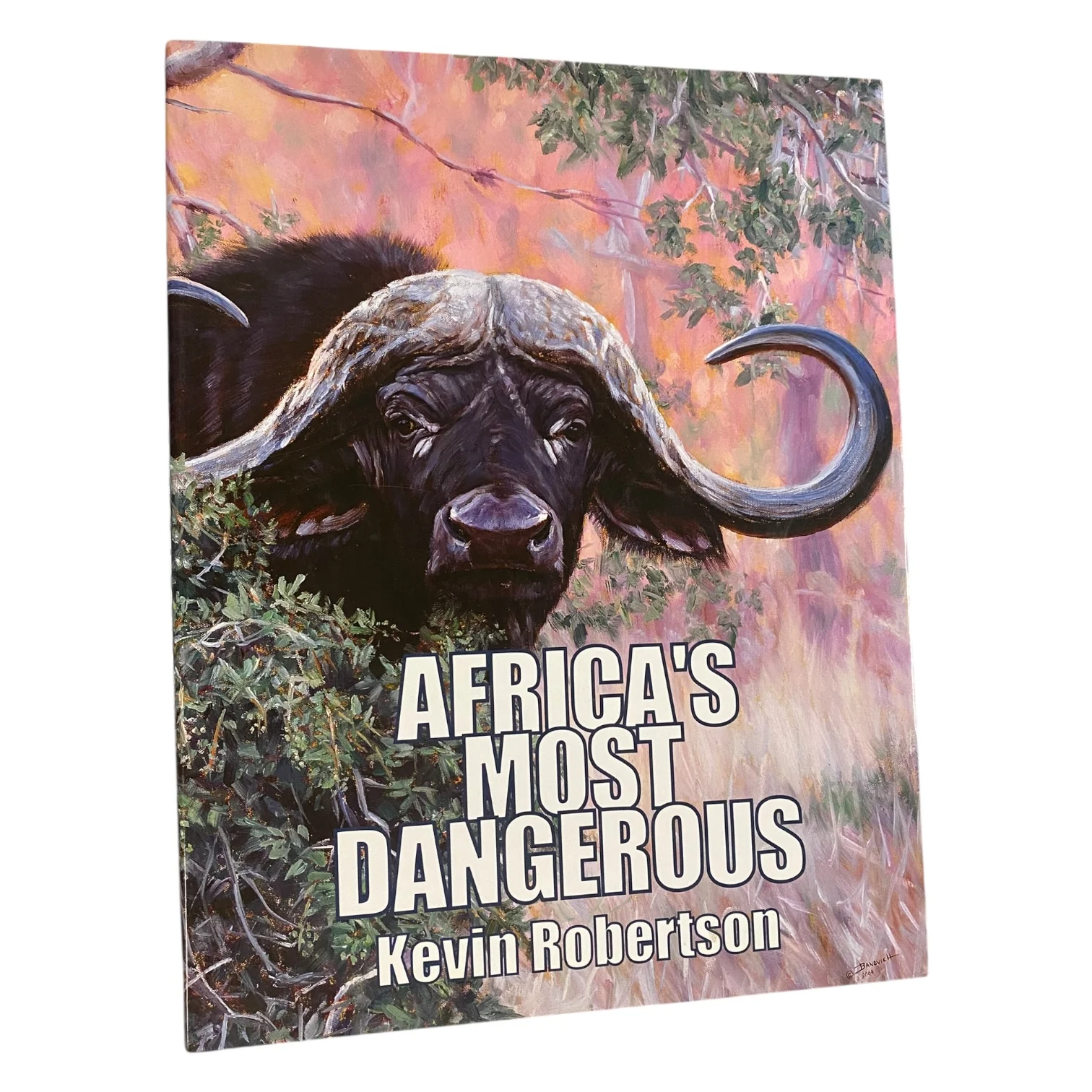 Africa's Most Dangerous