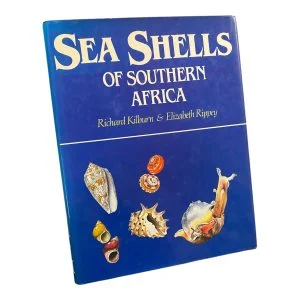 Sea Shells of Southern Africa