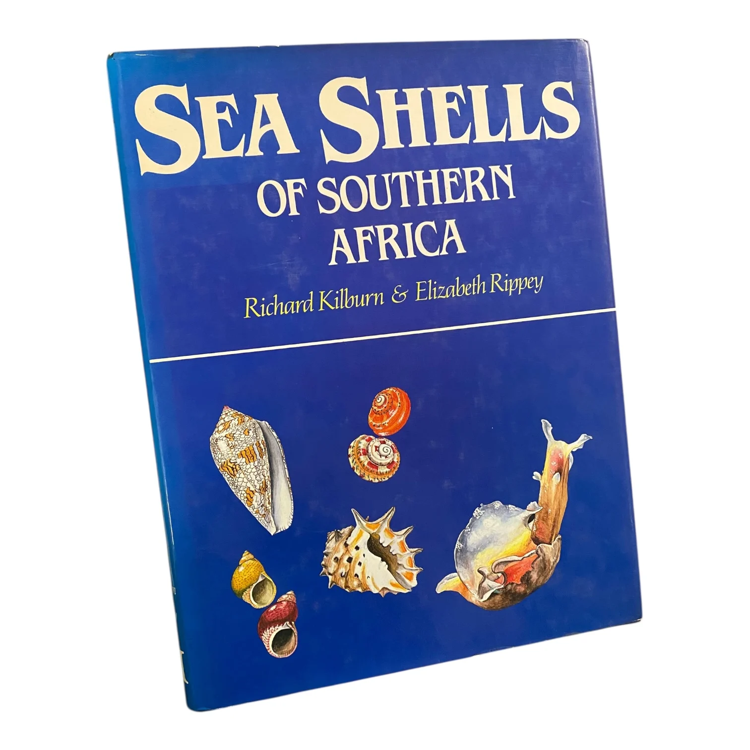 Sea Shells of Southern Africa