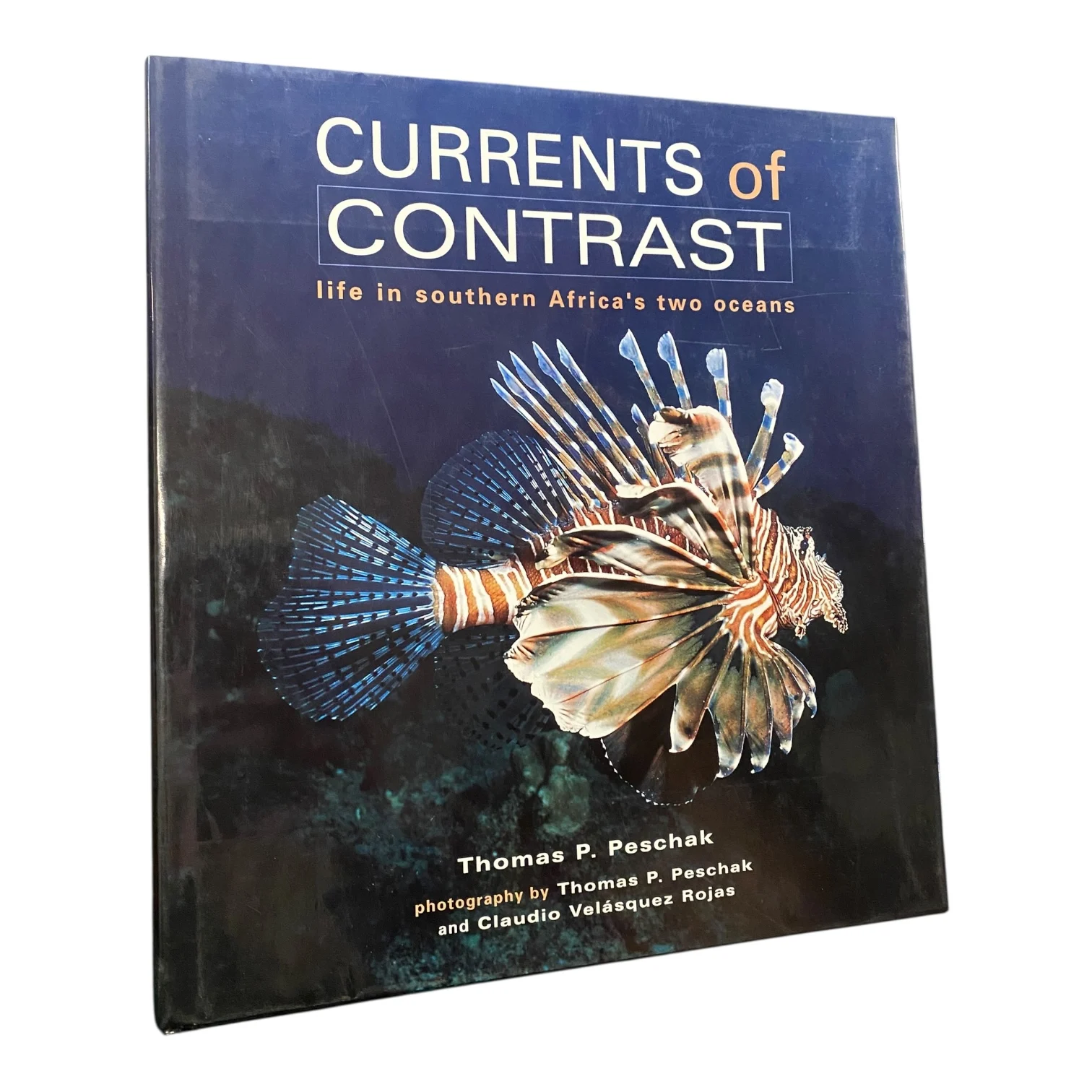 Currents of Contrast - Life in Southern Africa's Two Oceans