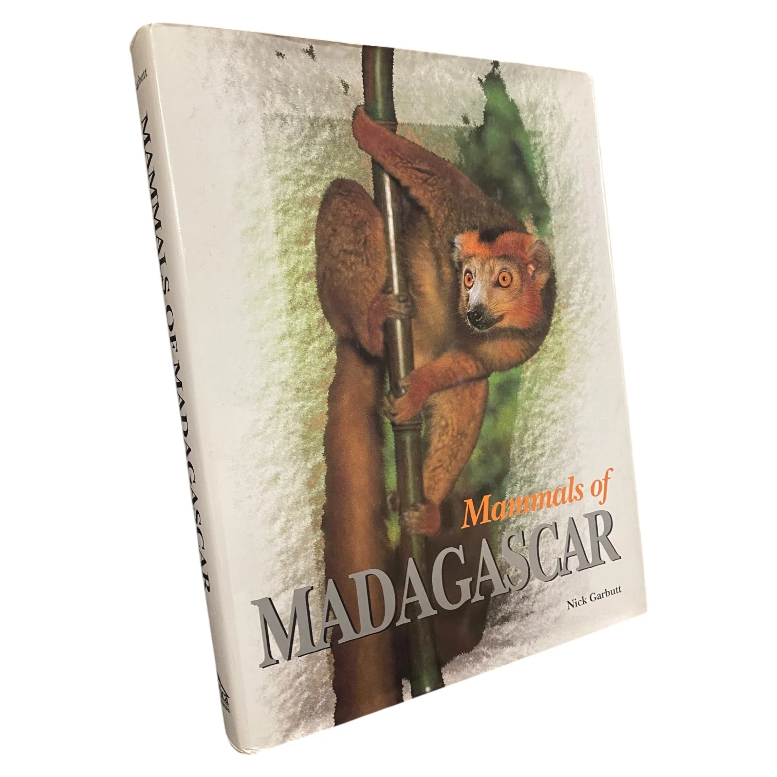 Mammals of Madagascar