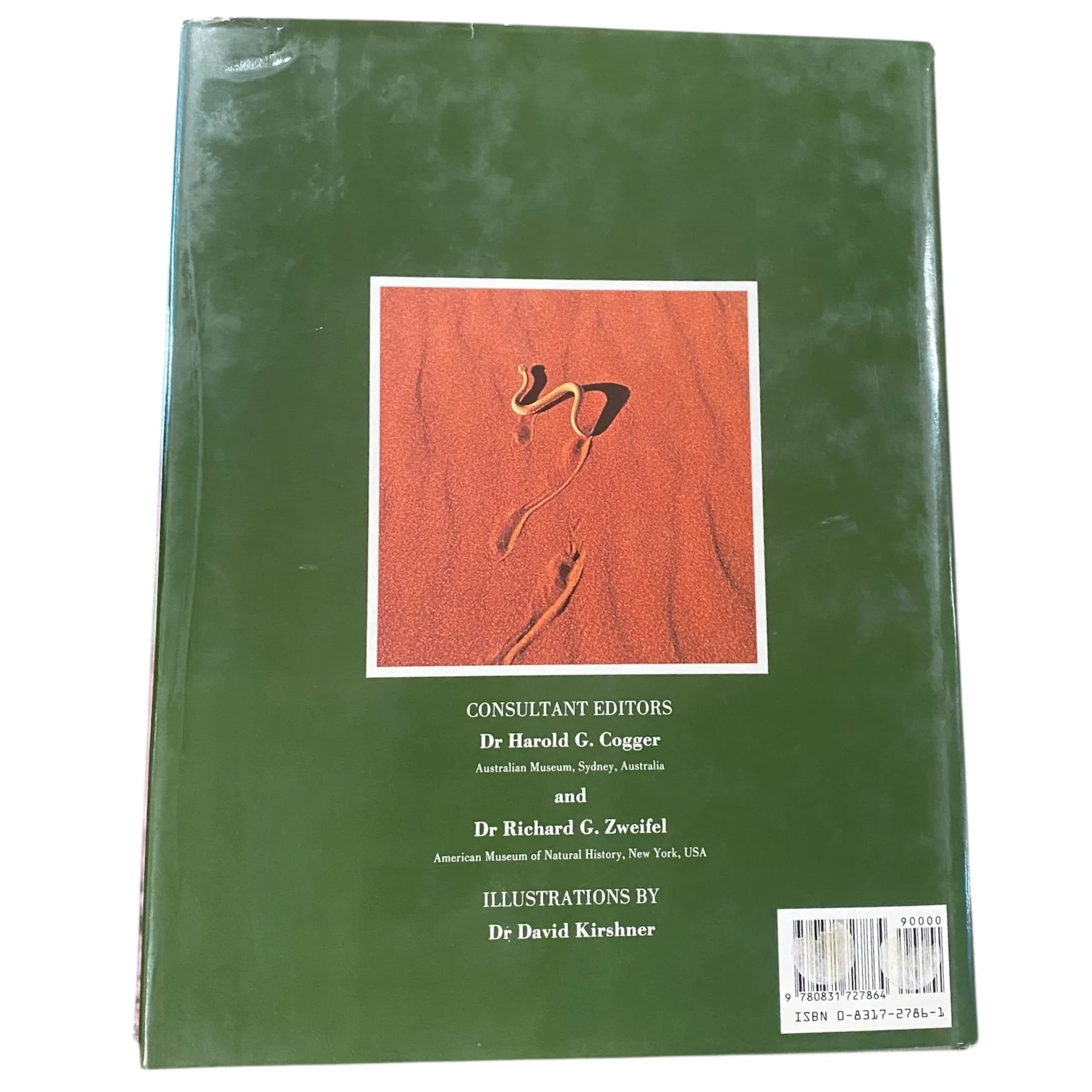 Reptiles and Amphibians - Image 2