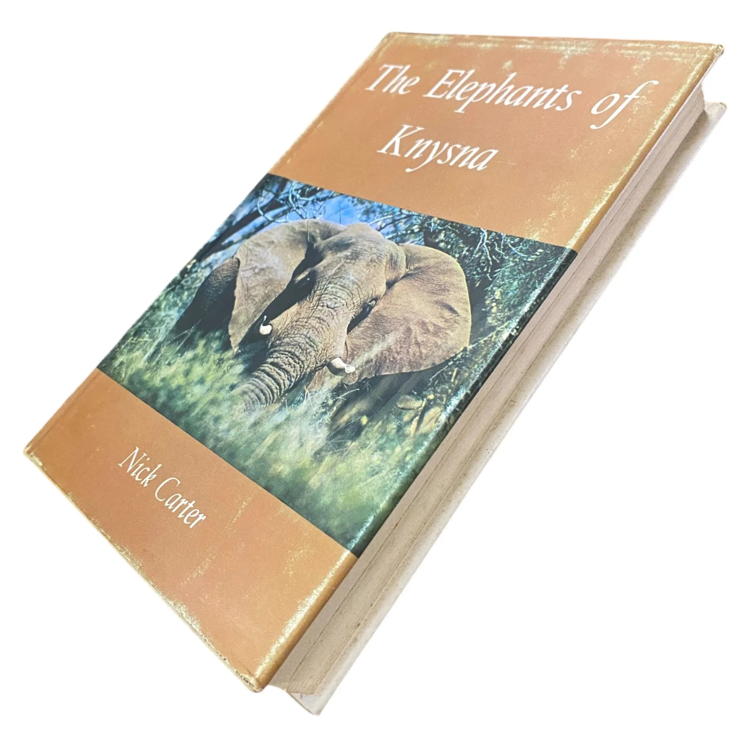 The Elephants of Knysna - Image 2