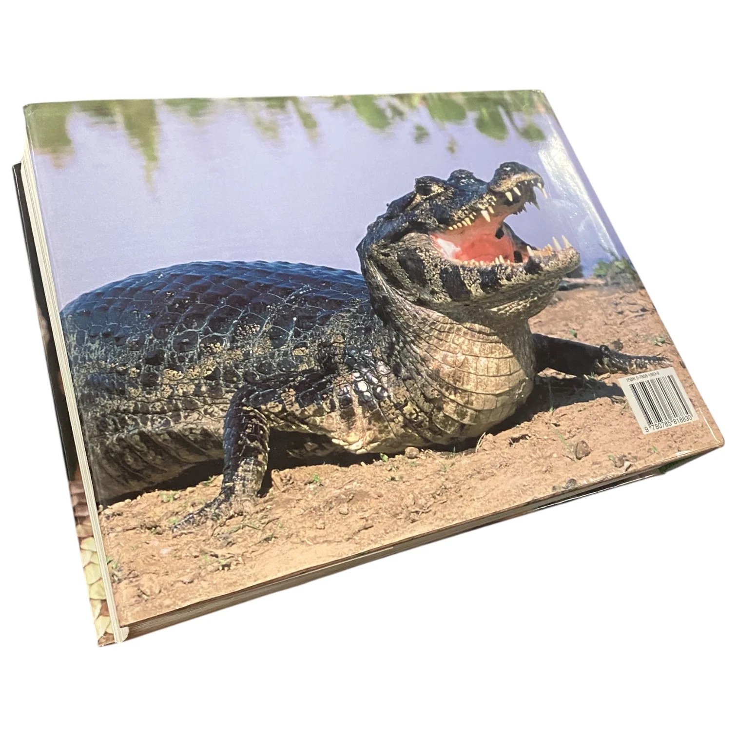 The Ultimate Guide to Snakes & Reptiles - Image 2