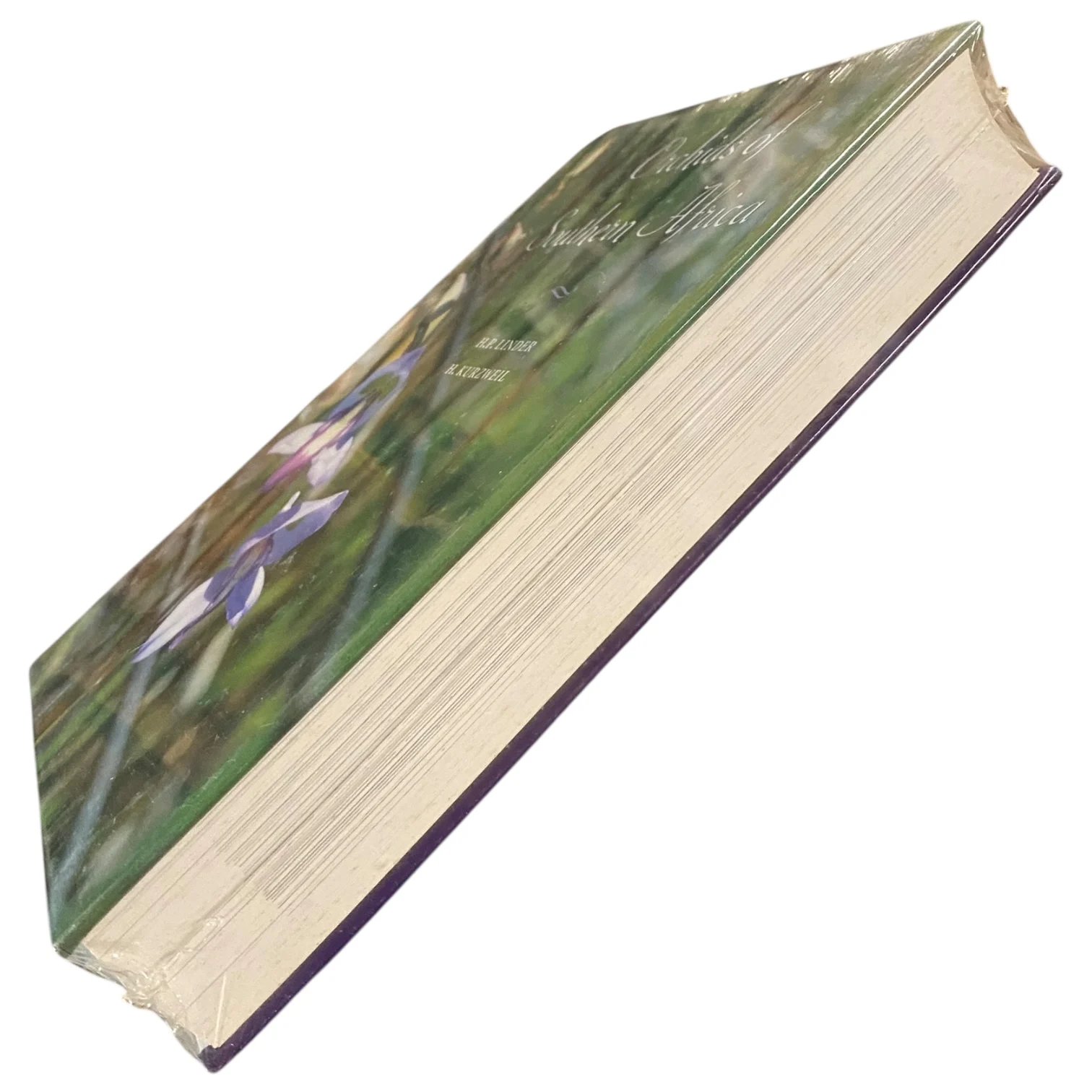 Orchids of Southern Africa (Sealed) - Image 2