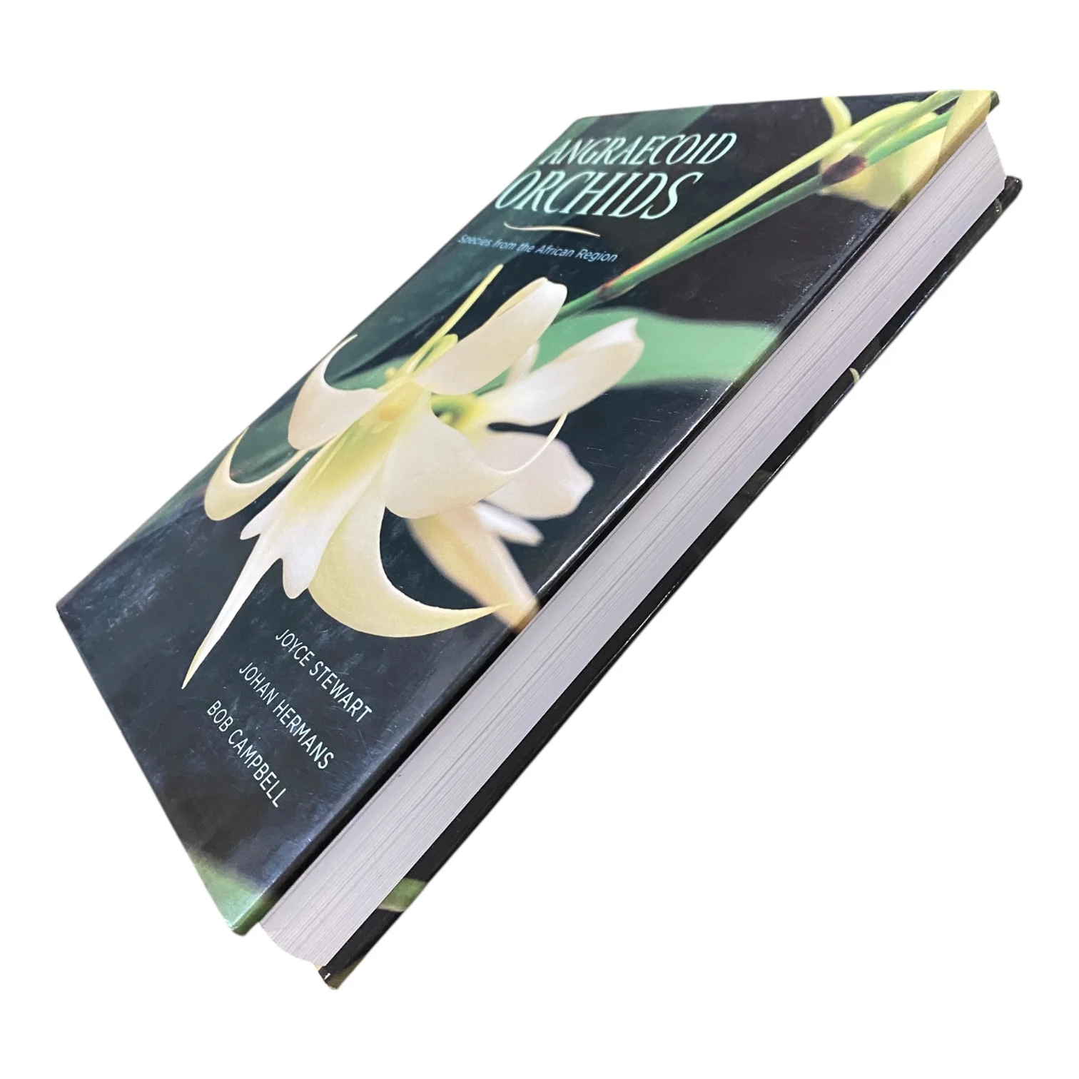 Angraecoid Orchids - Species from the African Region - Image 2