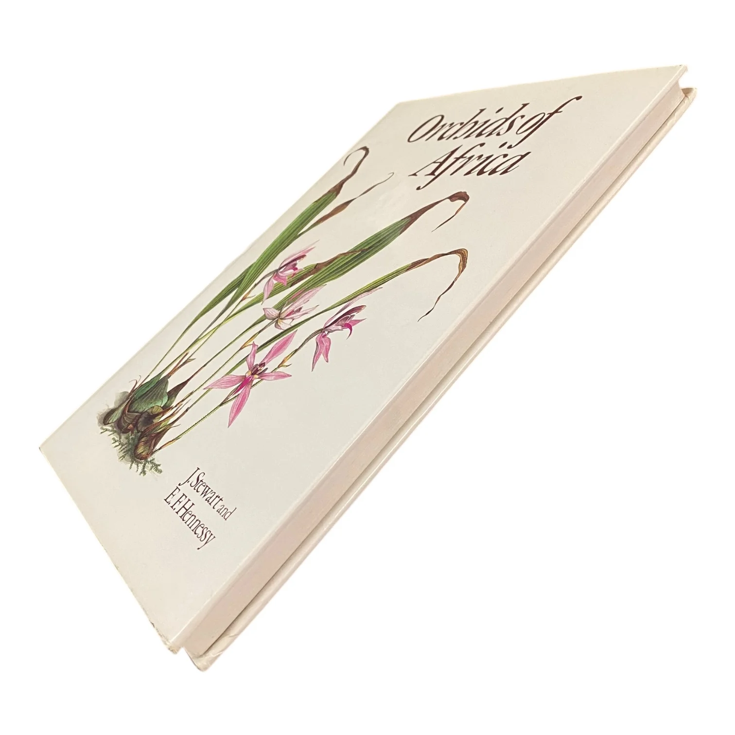 Orchids of Africa - Image 2