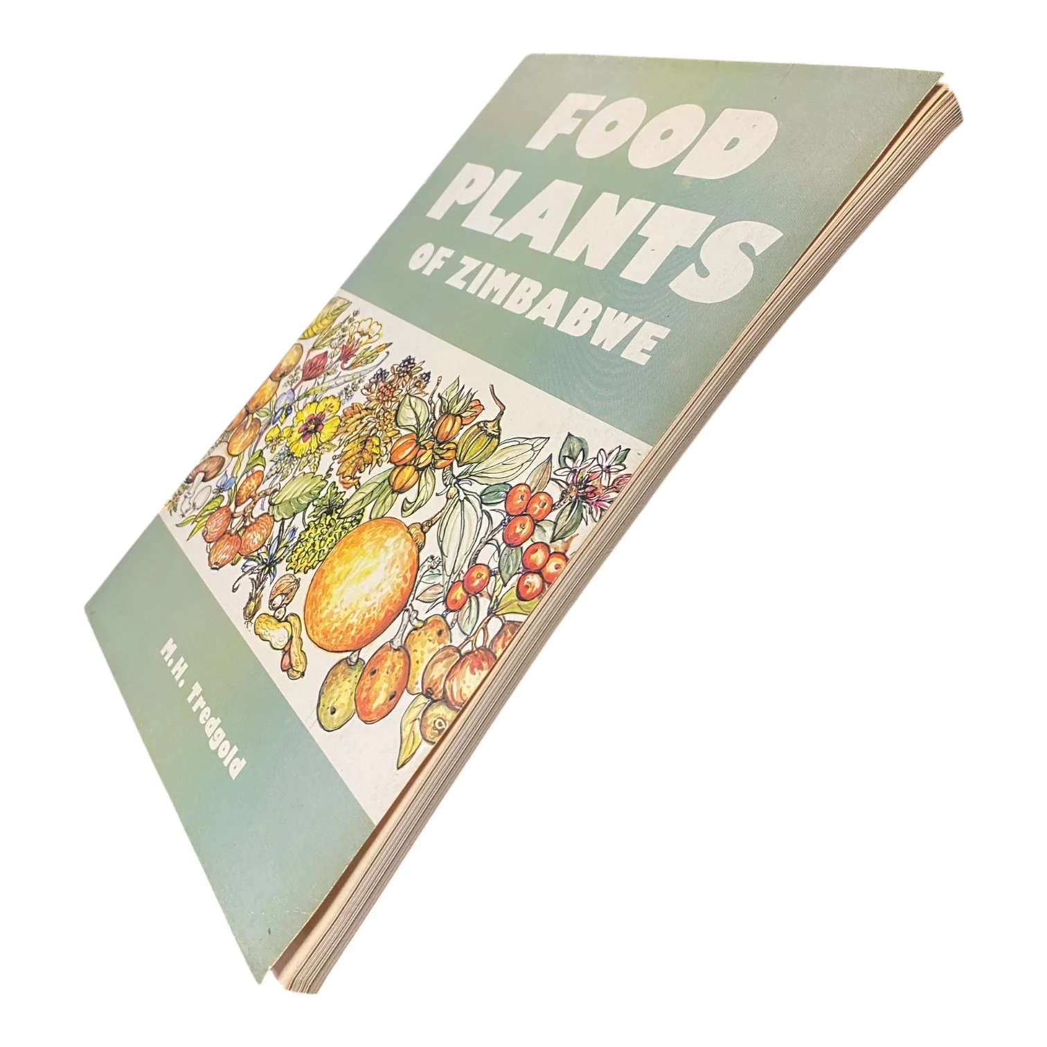 Food Plants of Zimbabwe - Image 2