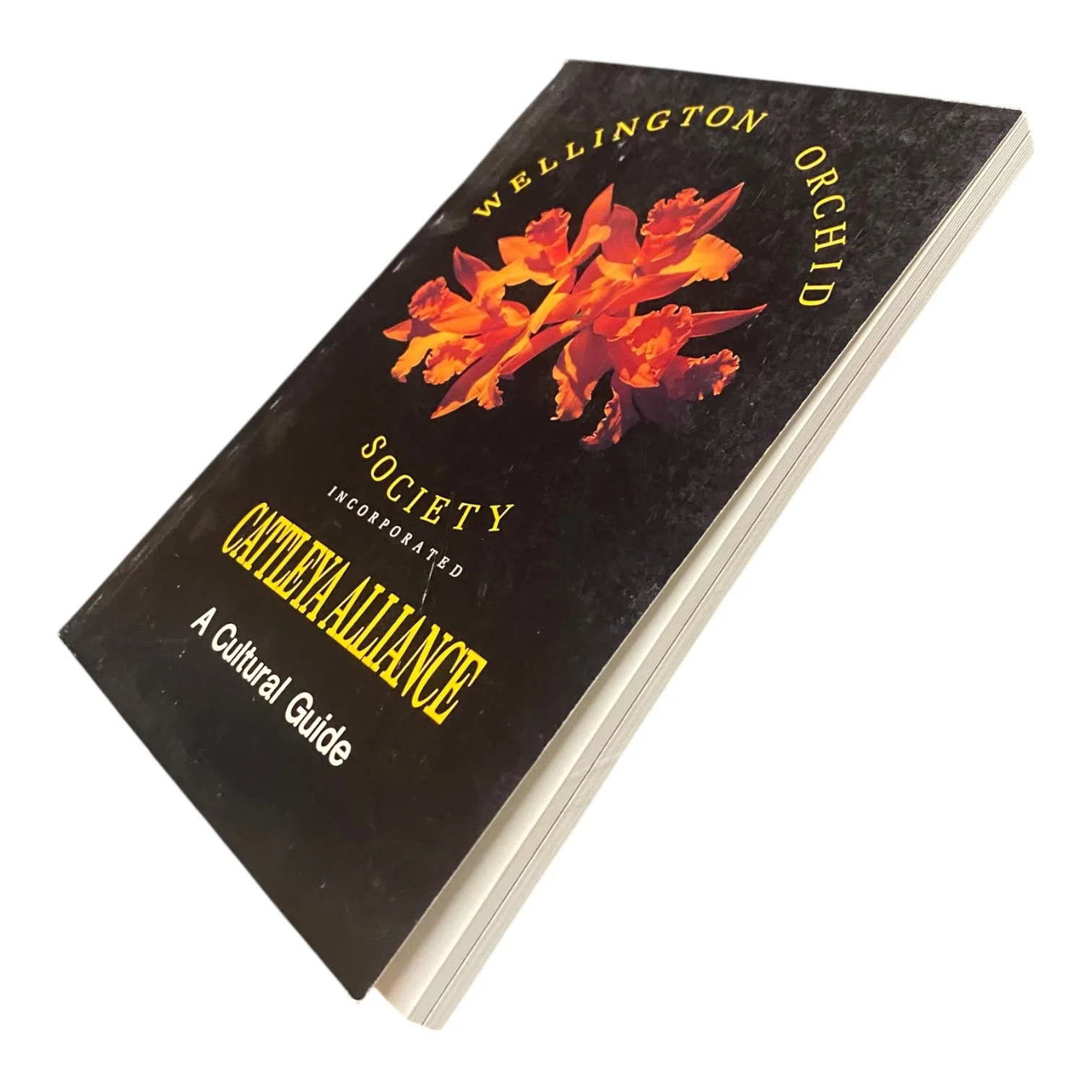 Cattleya Alliance a Cultural Guide - Image 2