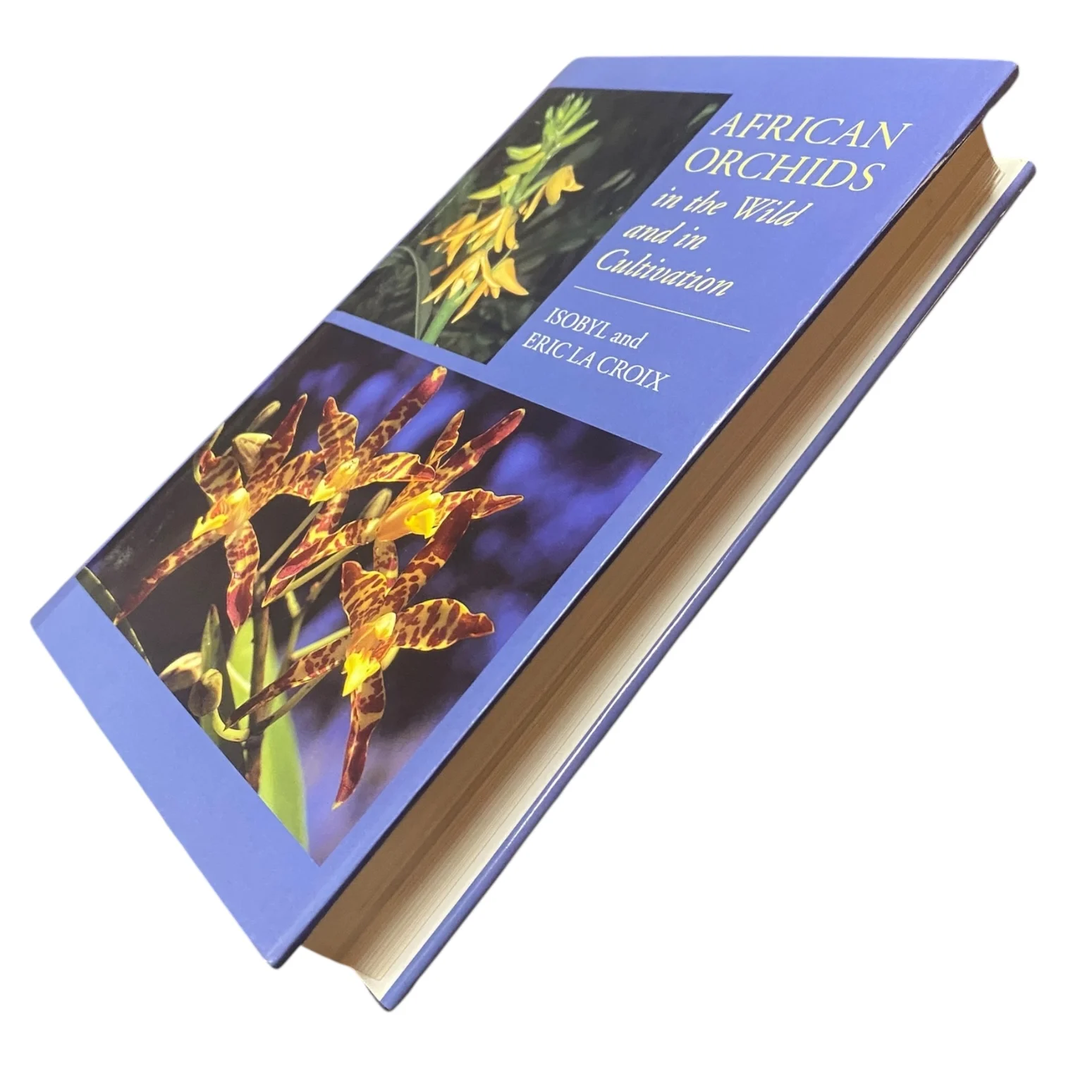 African Orchids in the Wild and in Cultivation - Image 2
