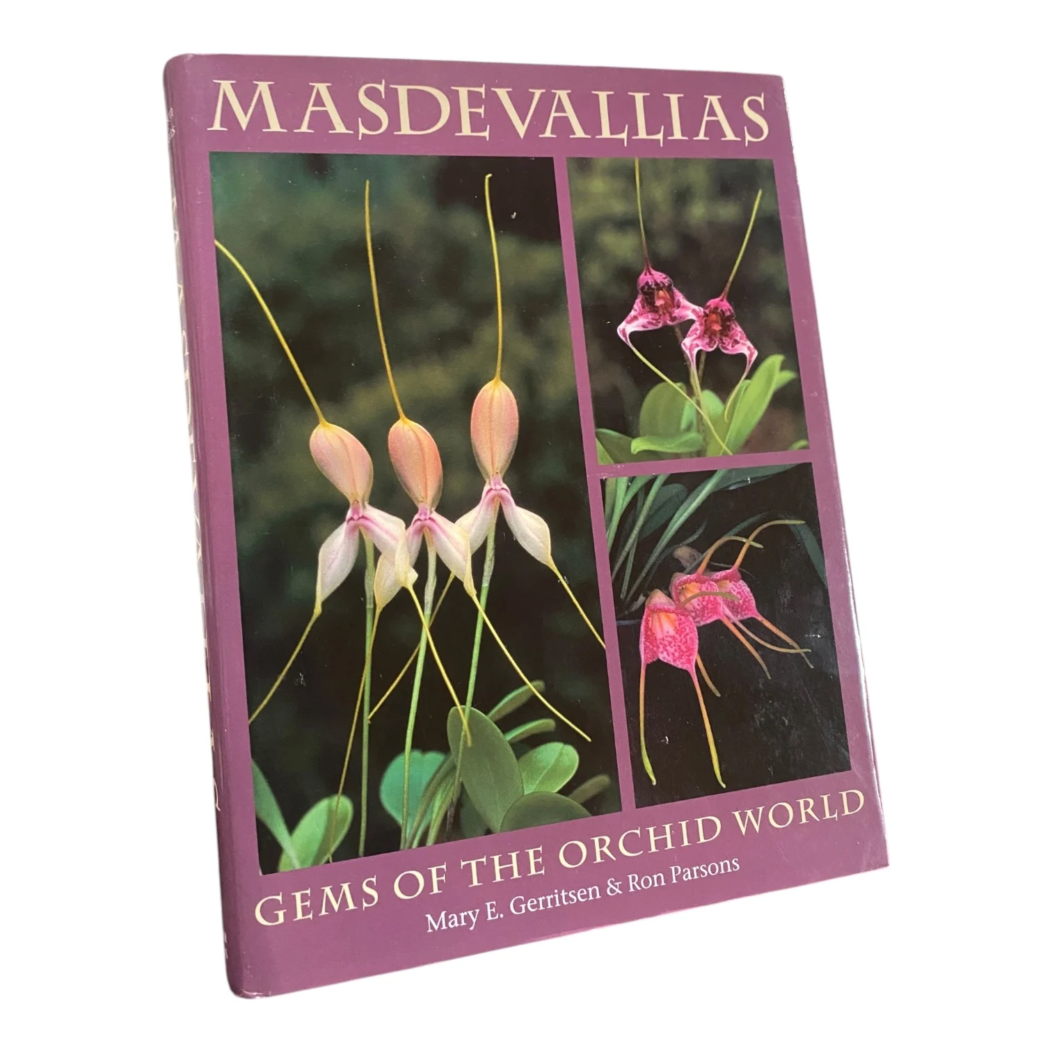 Masdevallias - Gems of the Orchid World