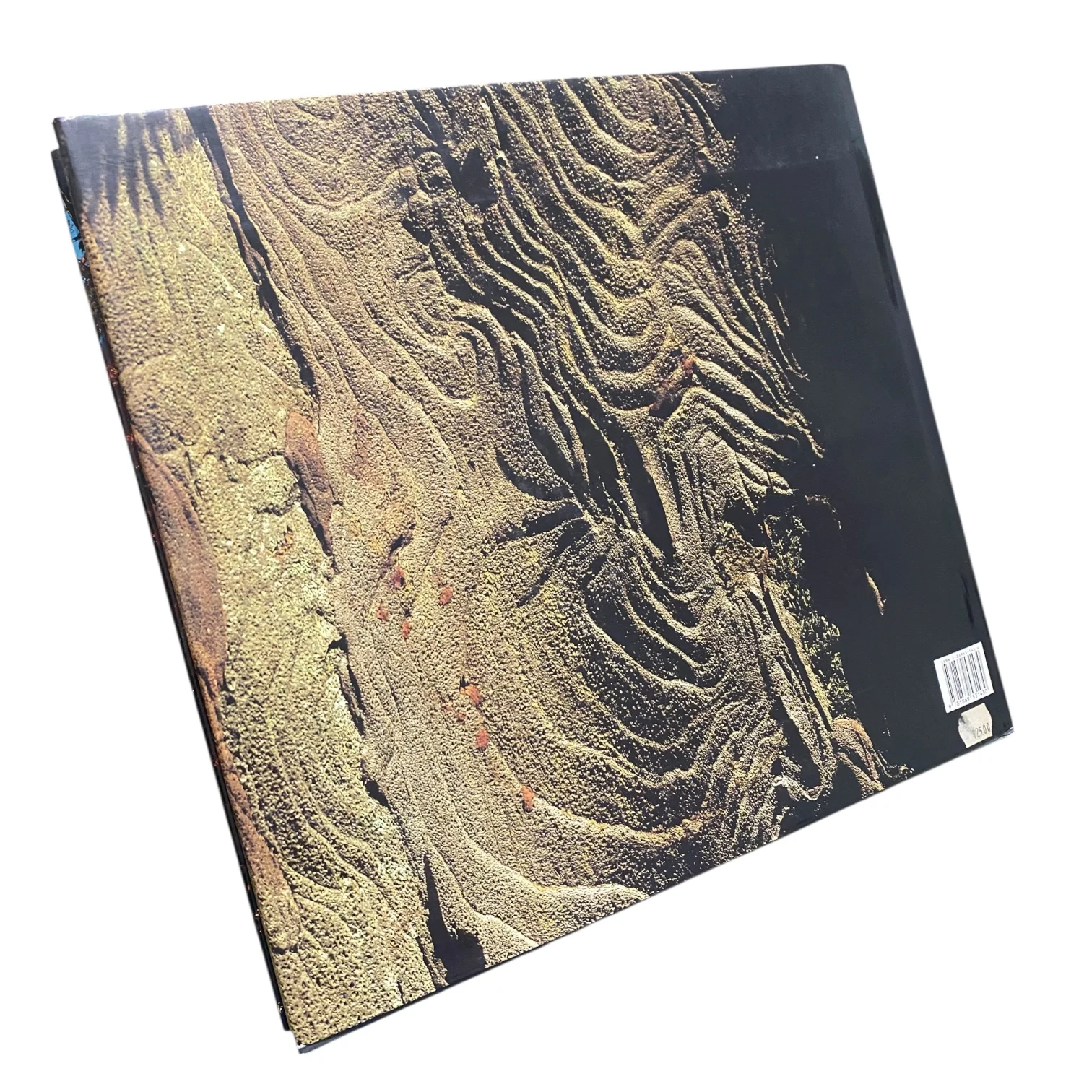 Trees of the World - Image 2