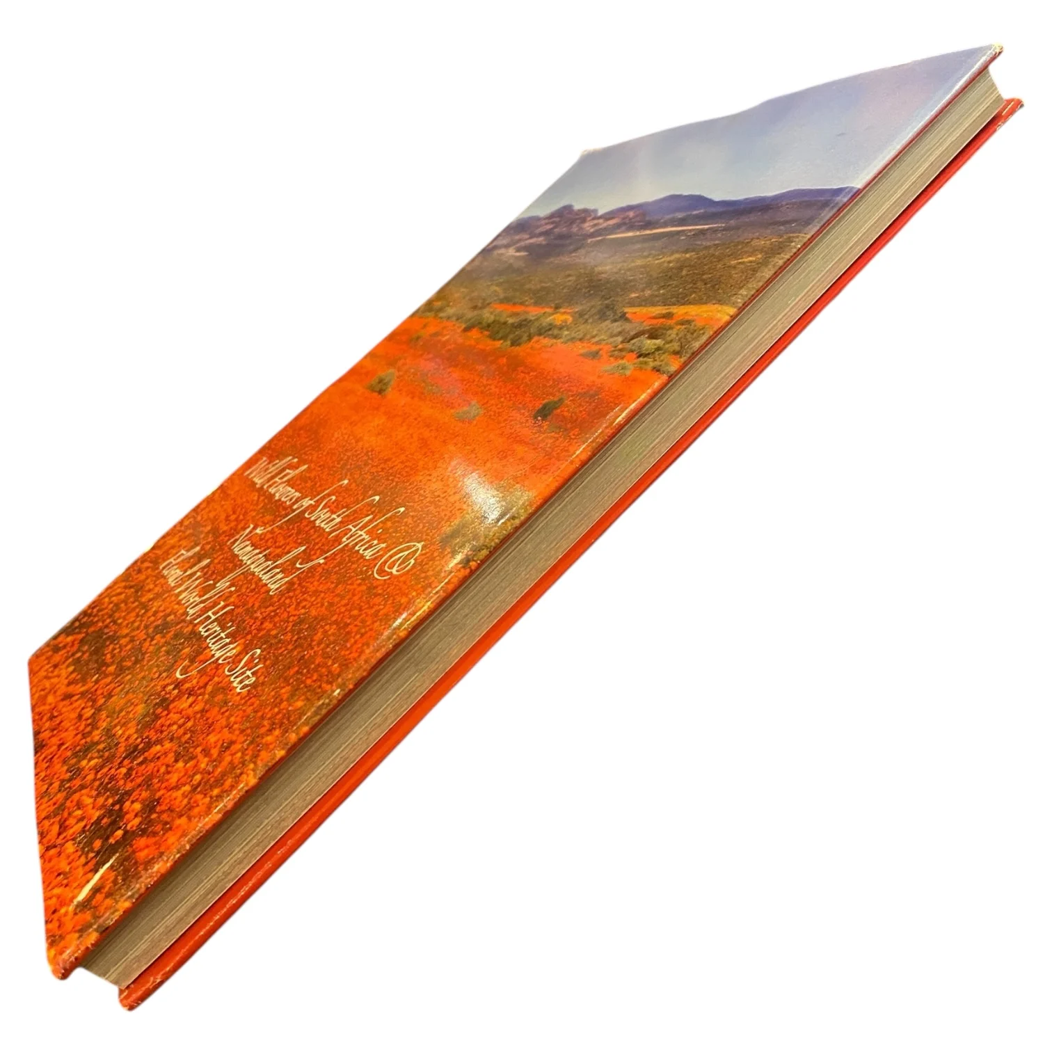 Wild Flowers of South Africa & Namaqualand - Floral World Heritage Site by Sandra Hansen - Image 2