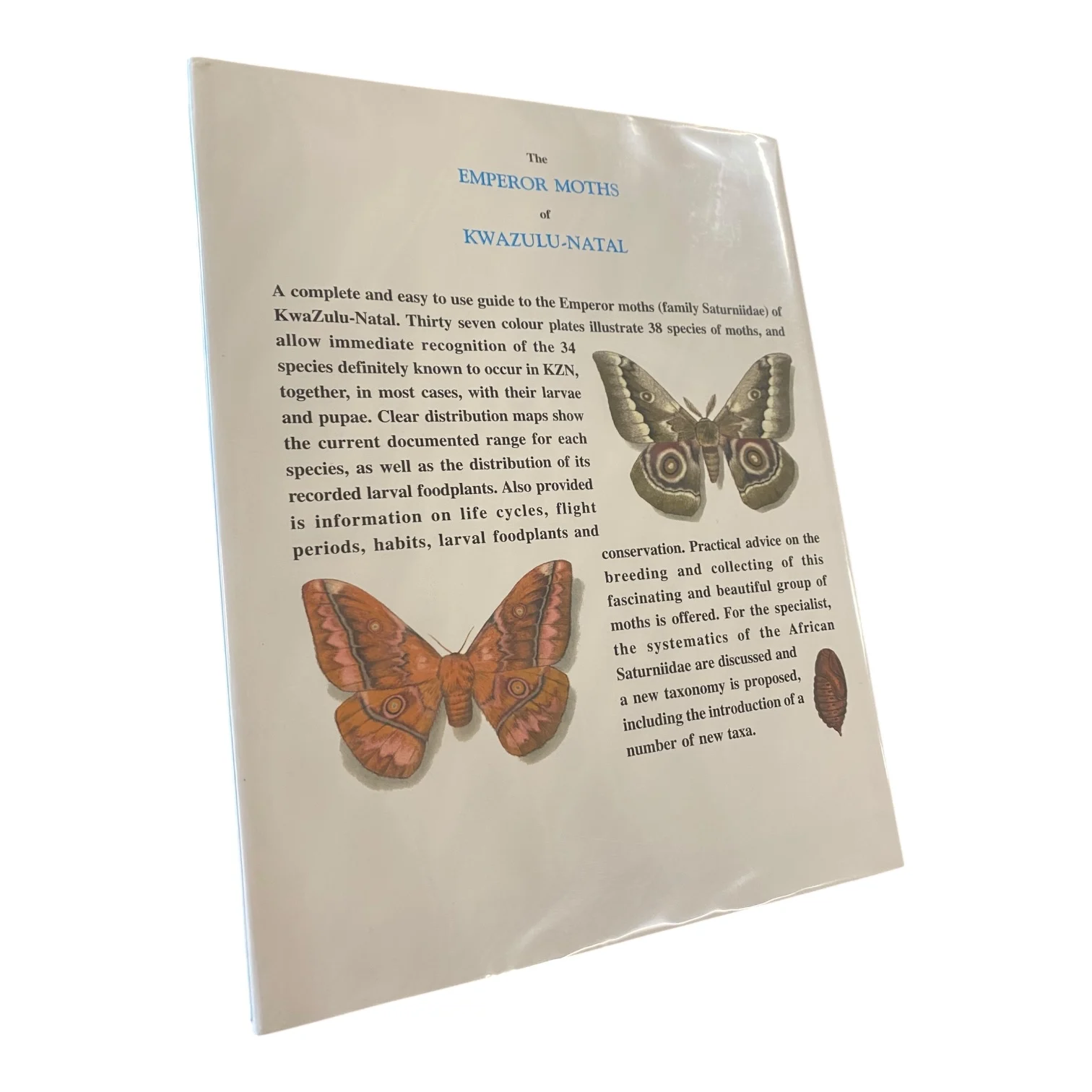 The Emperor Moths of Kwazulu-Natal - Image 2