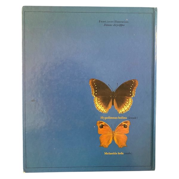 Butterflies of Oman - Image 2