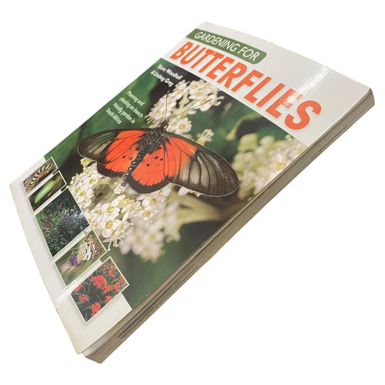 Gardening for Butterflies - Image 2