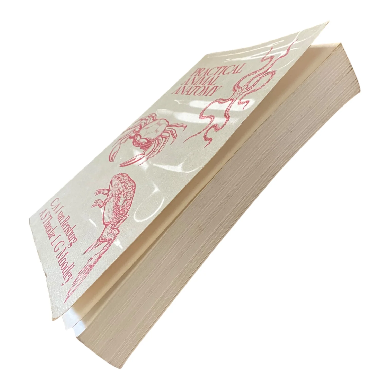Practical Animal Anatomy - Image 2