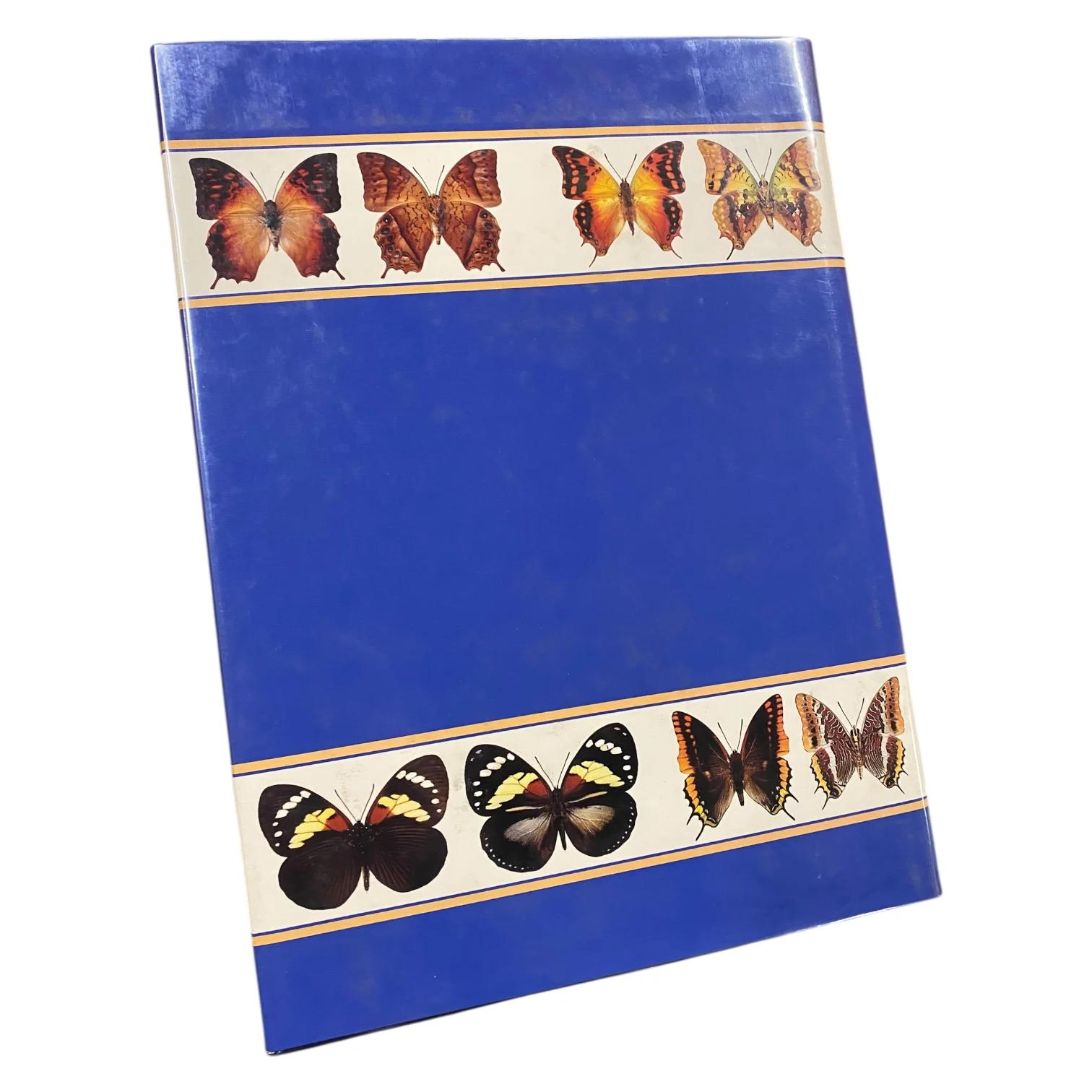 The Charaxinae Butterflies of Africa - Image 2