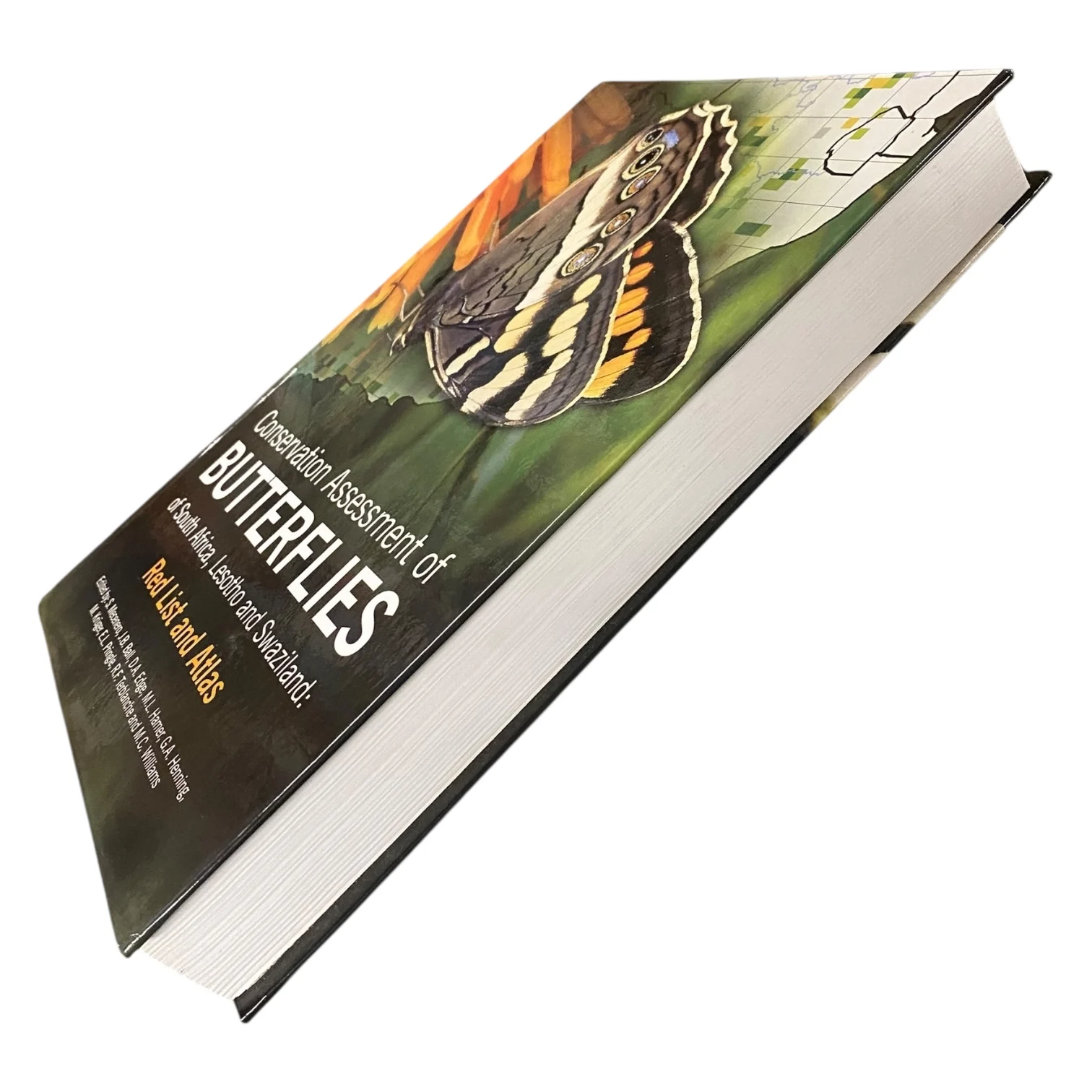 Conservation Assessment of Butterflies - Image 2