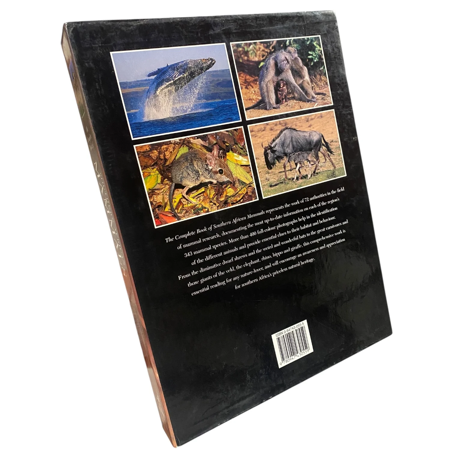 The Complete Book of Southern African Mammals - Image 2