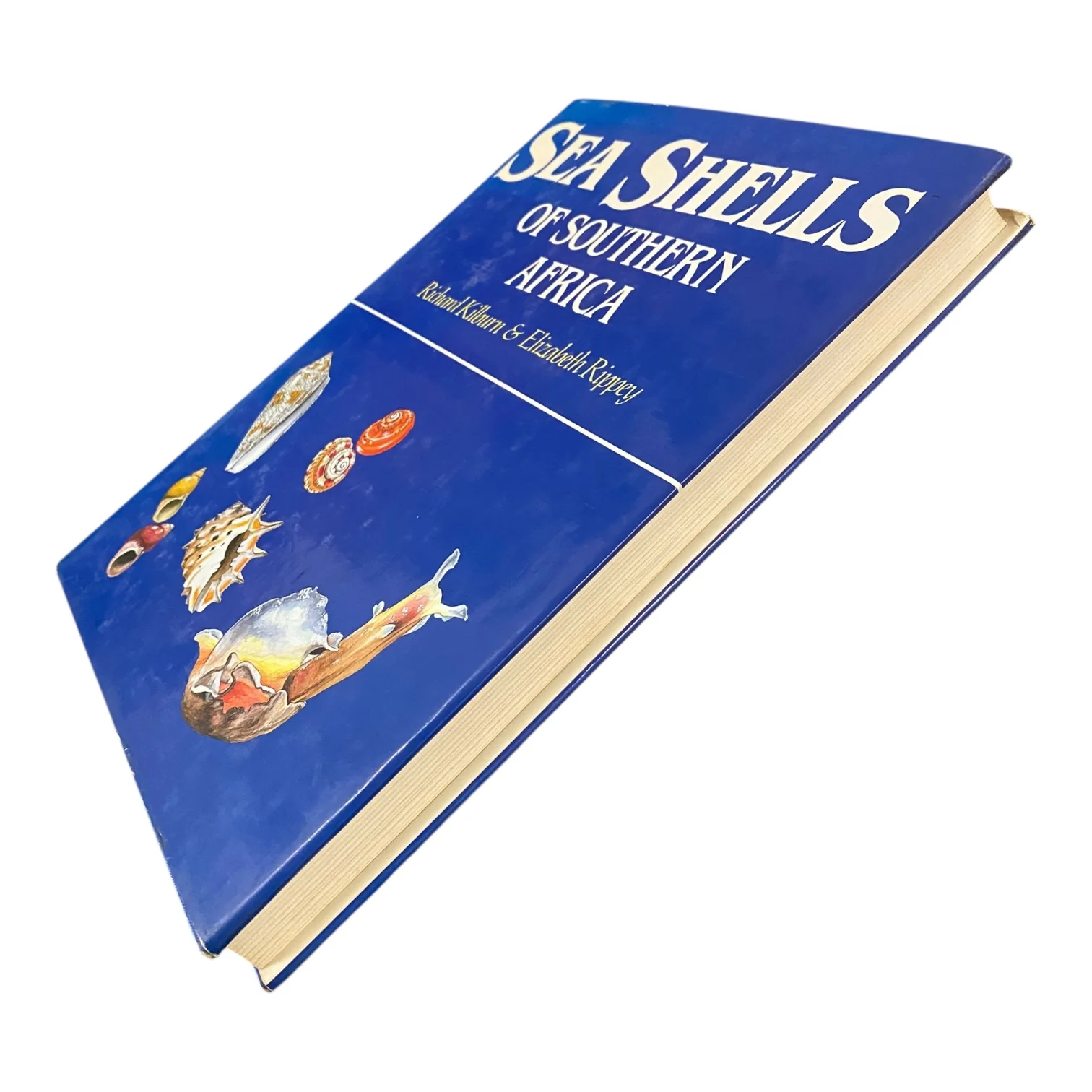 Sea Shells of Southern Africa - Image 2
