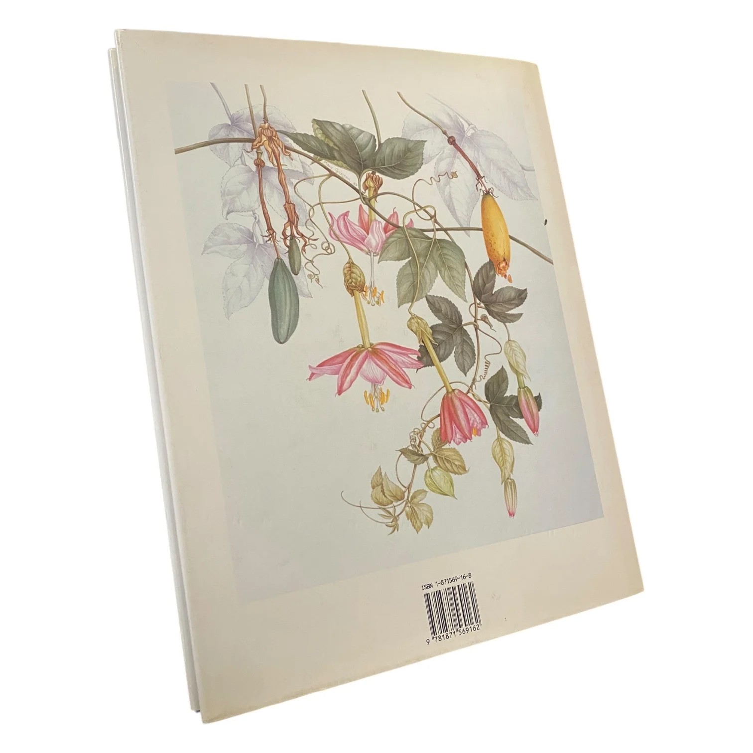 Flower Artists of Kew: Botanical Paintings By Contemporary Artists - Image 2