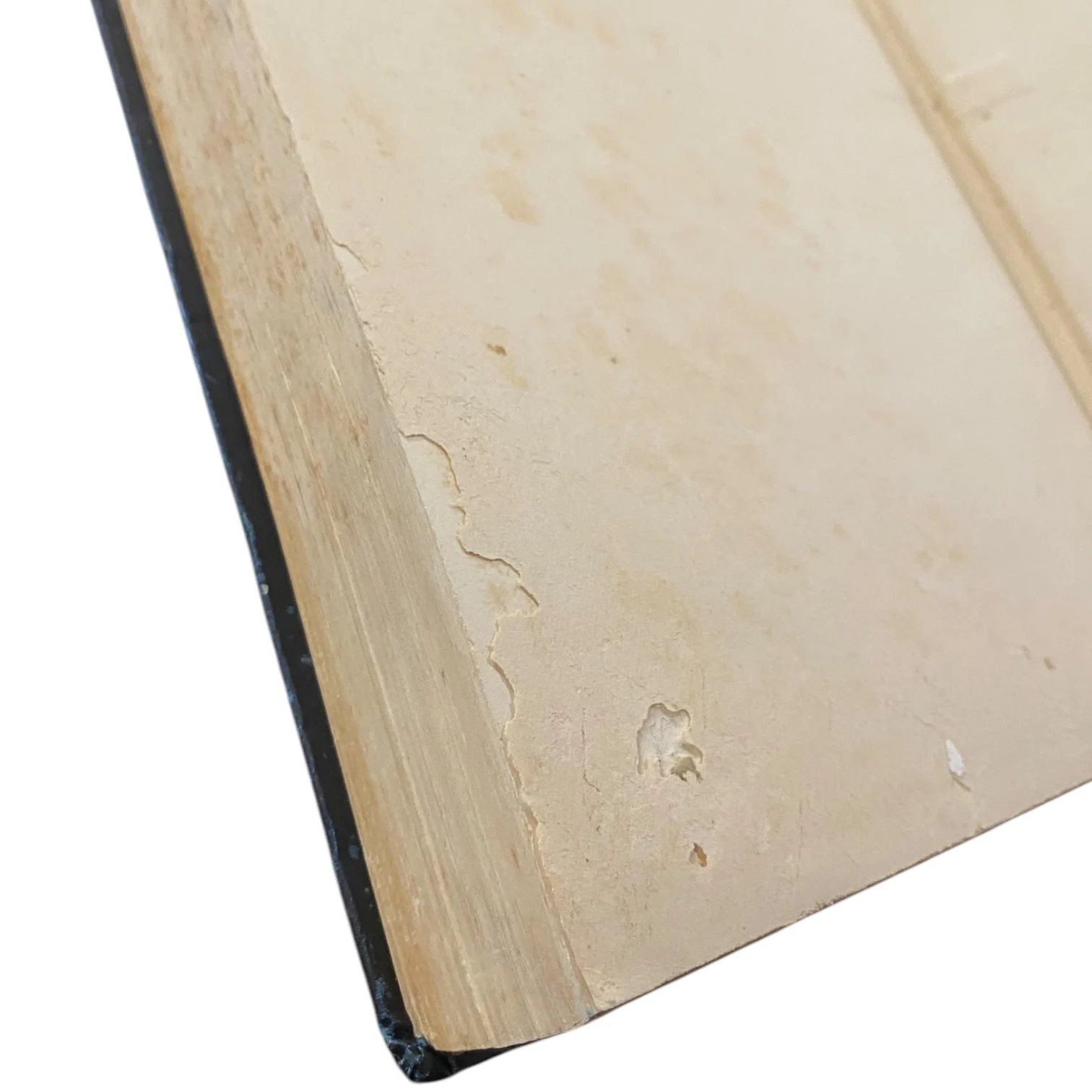 A Book of Discovery - Image 3