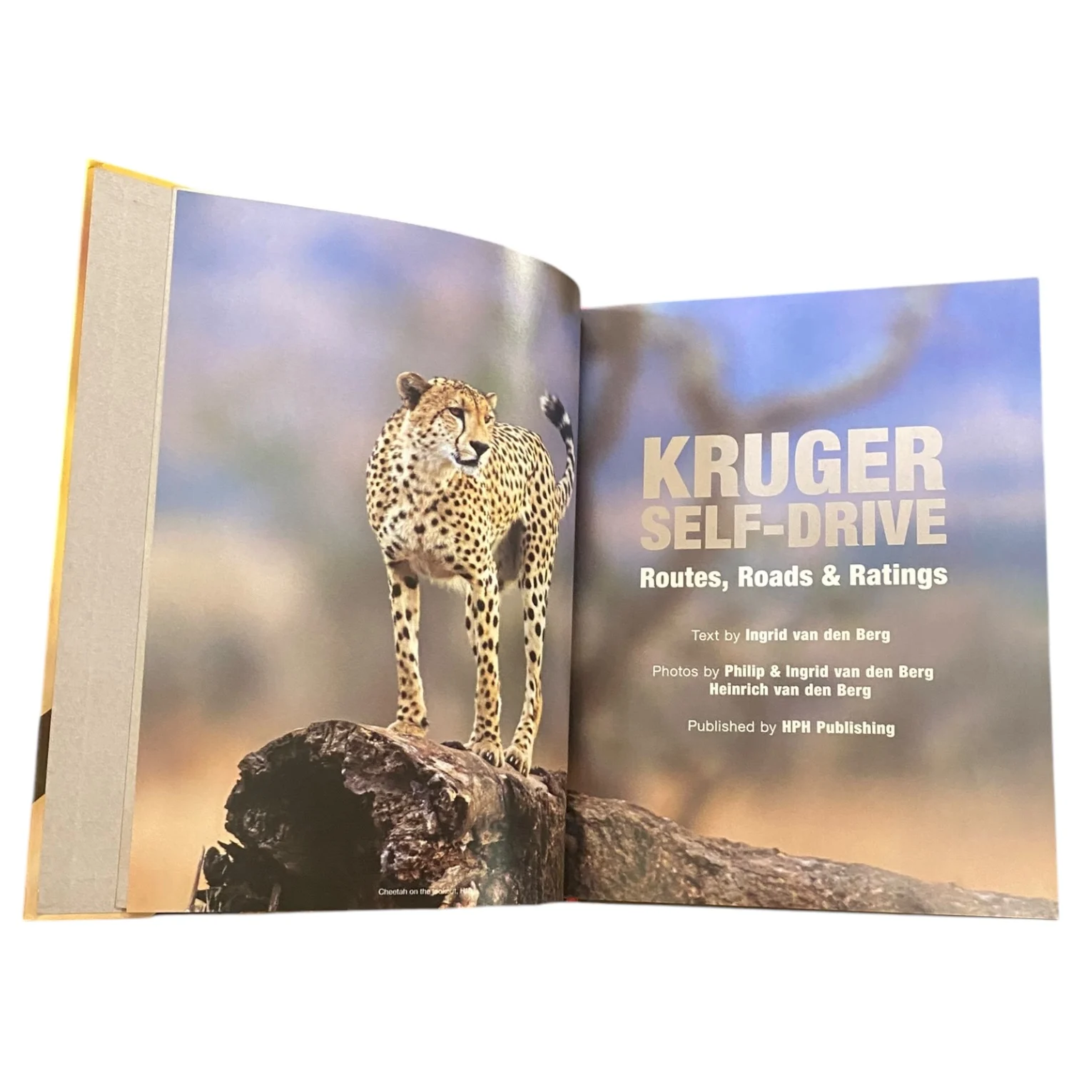 Kruger Self-Drive - Image 3
