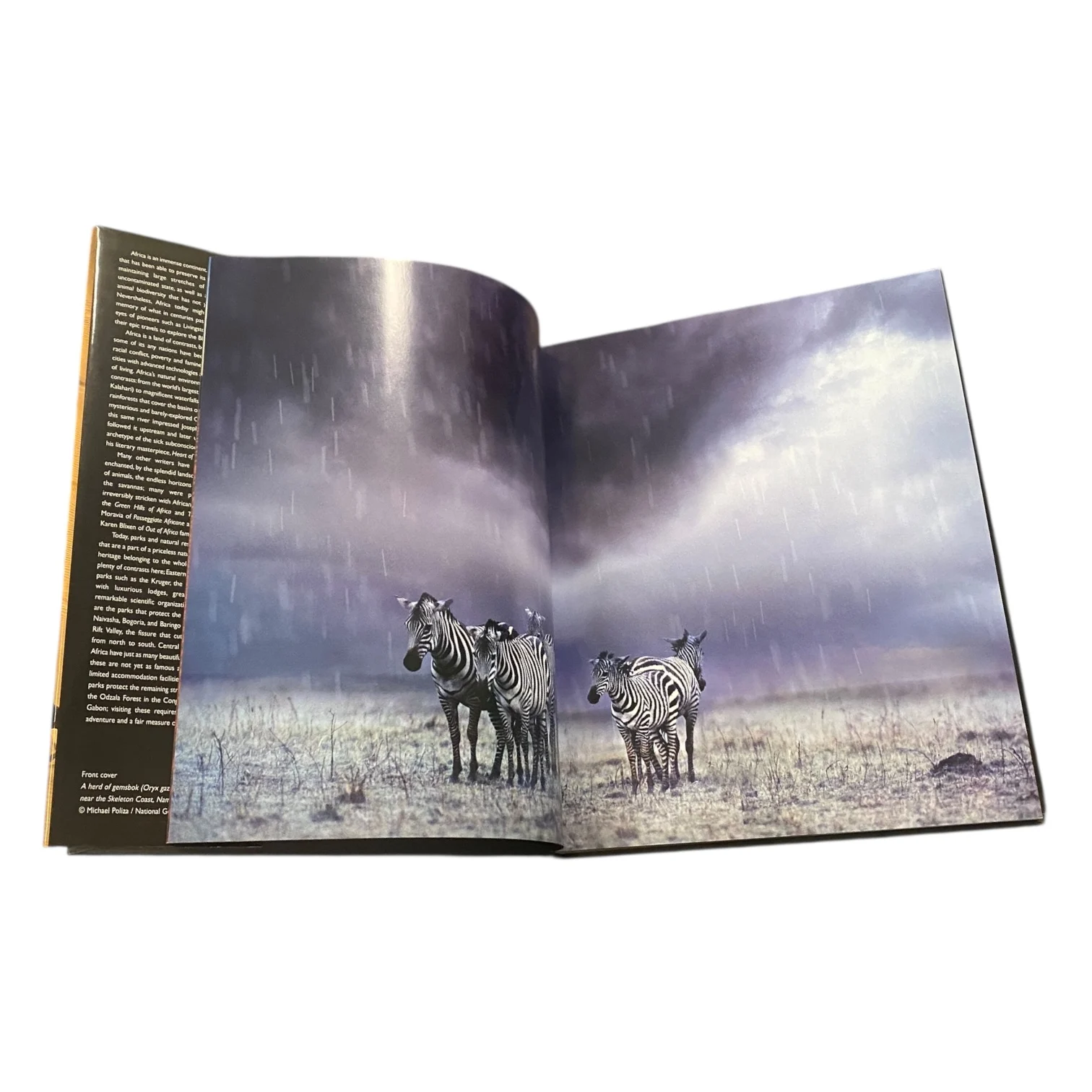 Vanishing Wilderness of Africa - Image 3