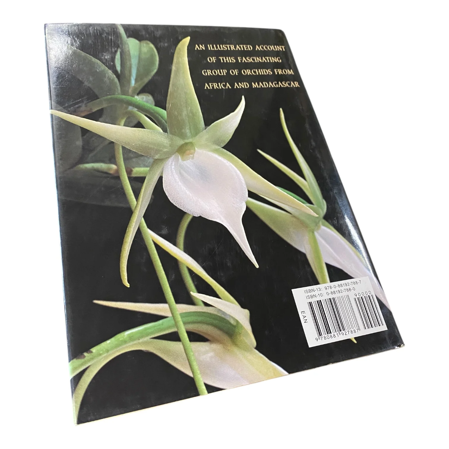 Angraecoid Orchids - Species from the African Region - Image 3