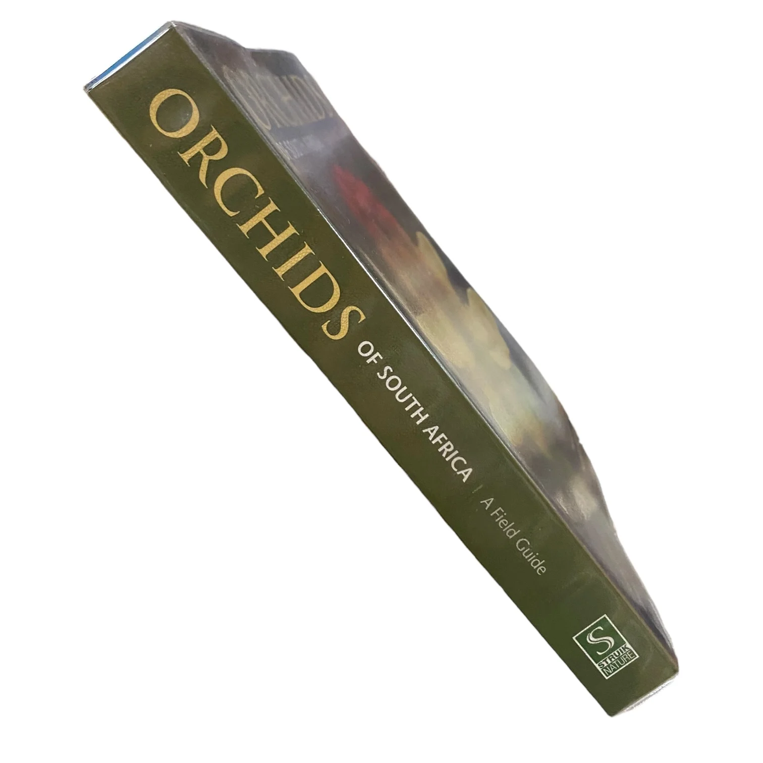 Orchids of South Africa - A Field Guide - Image 3