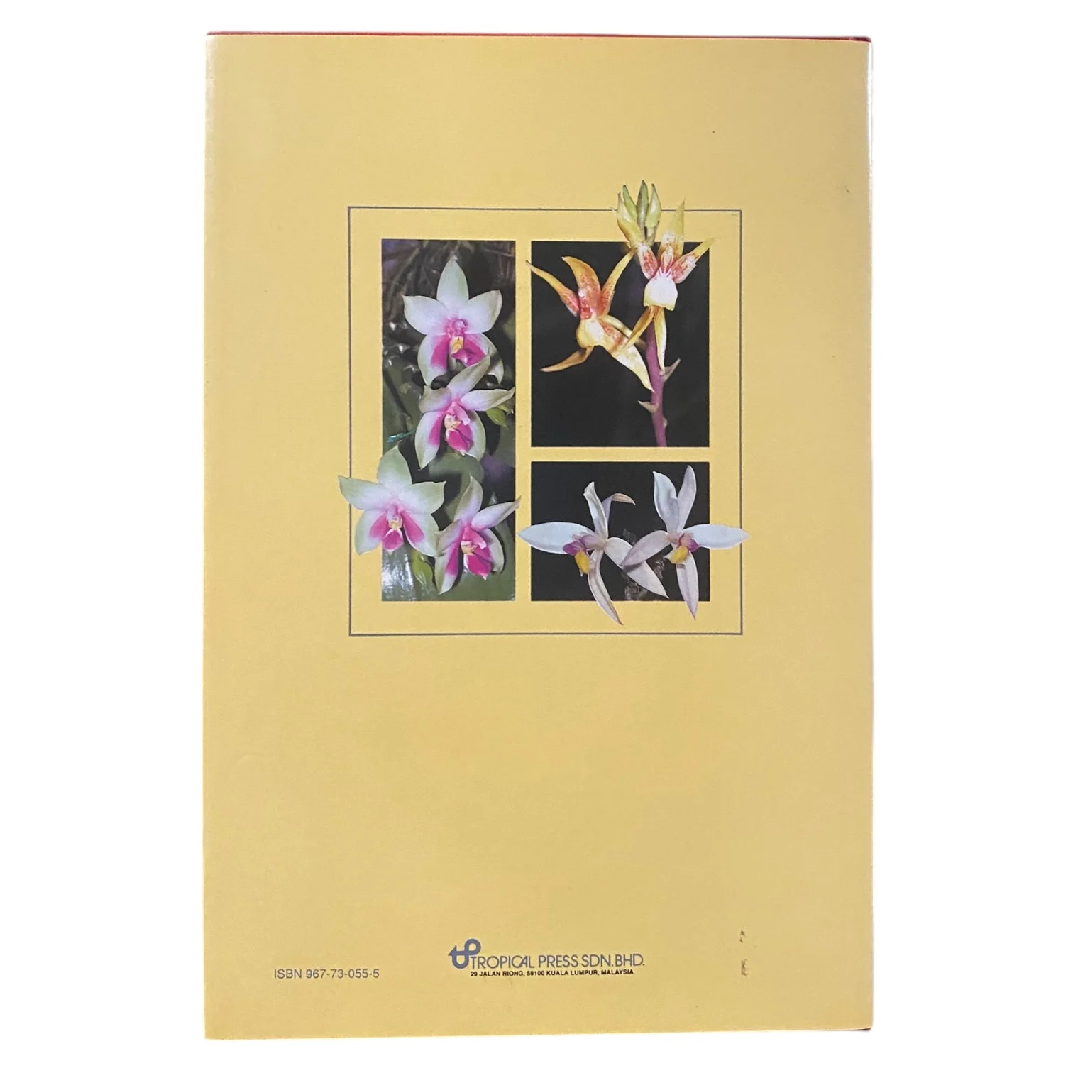Orchid Portraits: Wild Orchids of Malaysia and Southeast Asia - Image 3