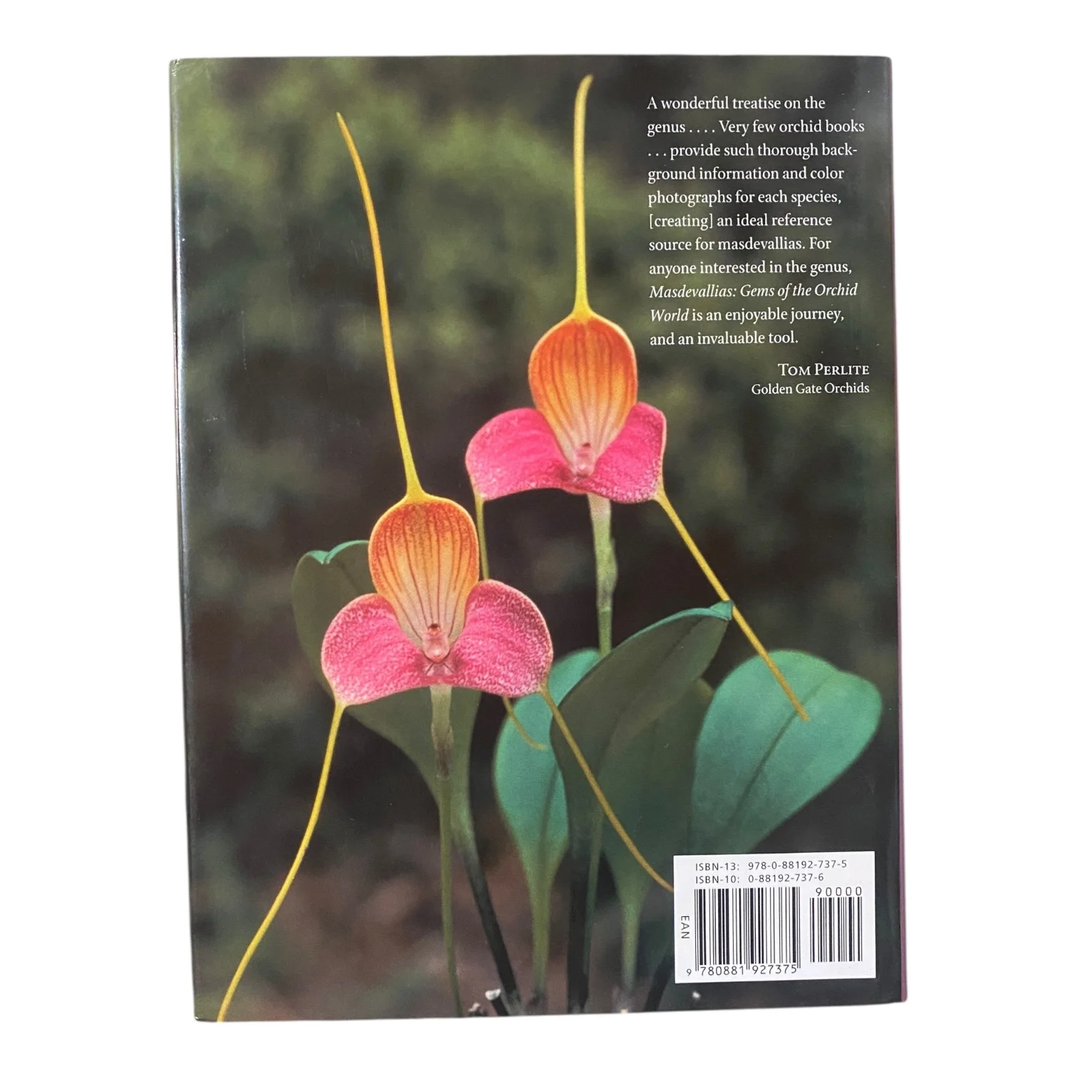 Masdevallias - Gems of the Orchid World - Image 3