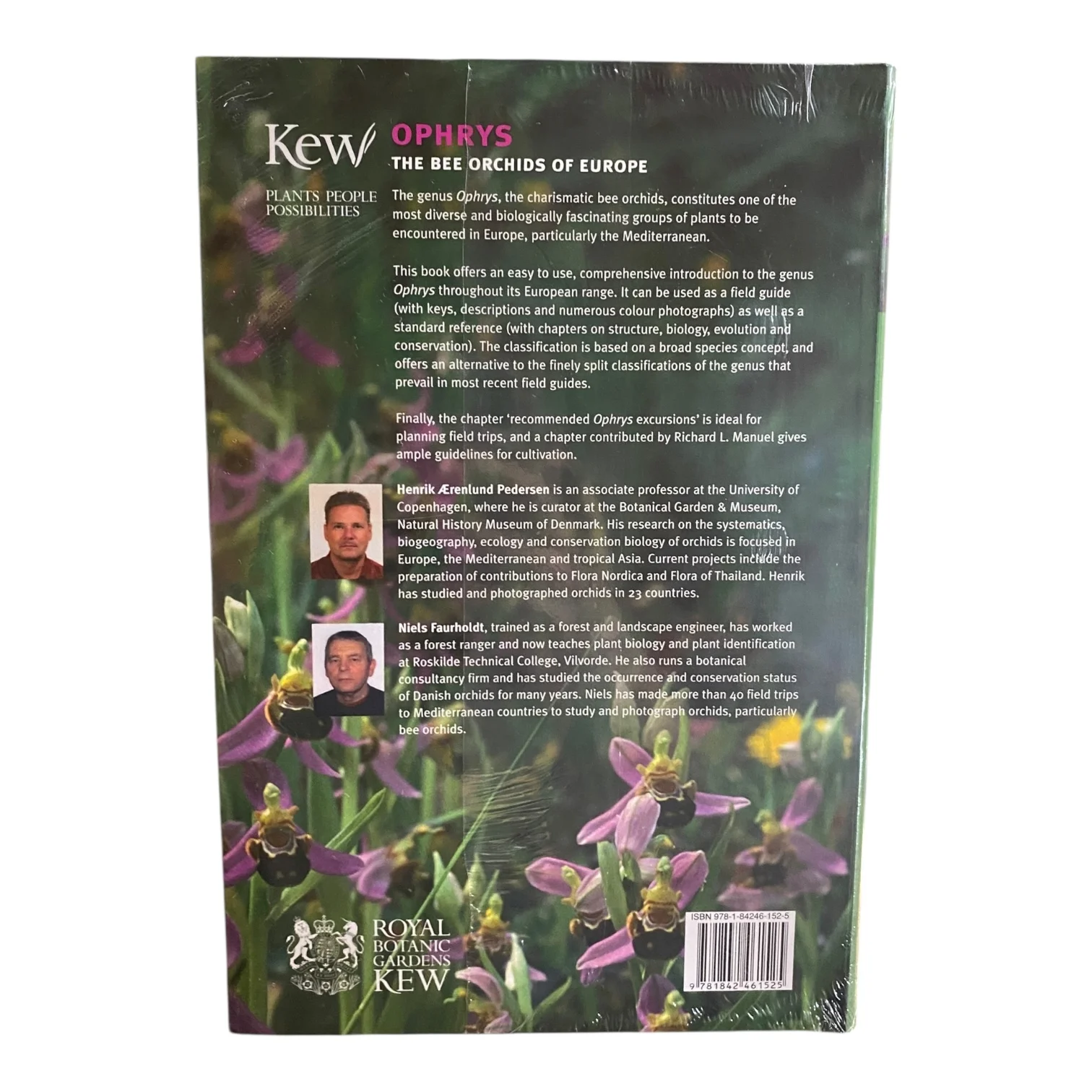 Ophrys; The Bee Orchids of Europe (Sealed) - Image 3